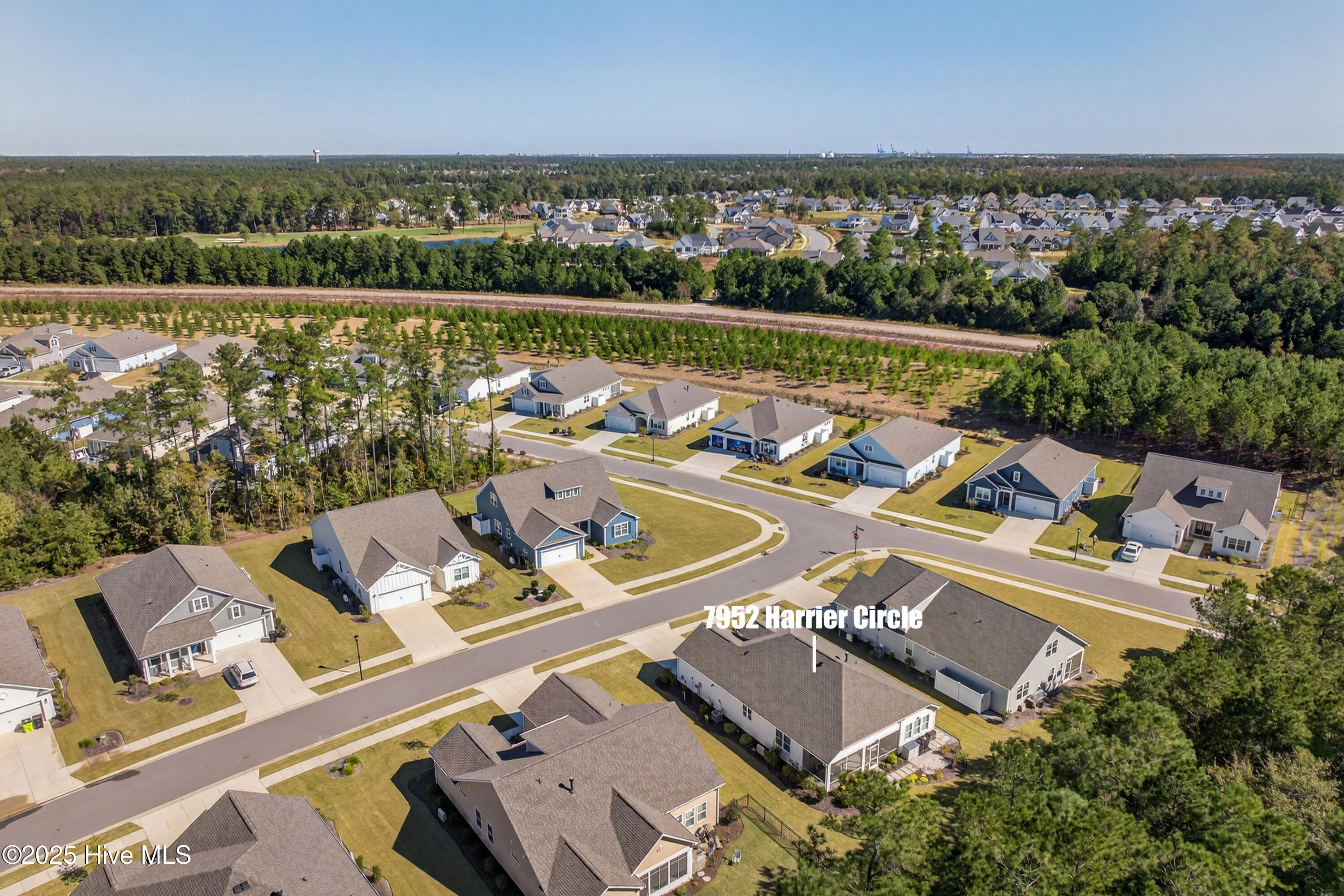 100538241 | Photo 41