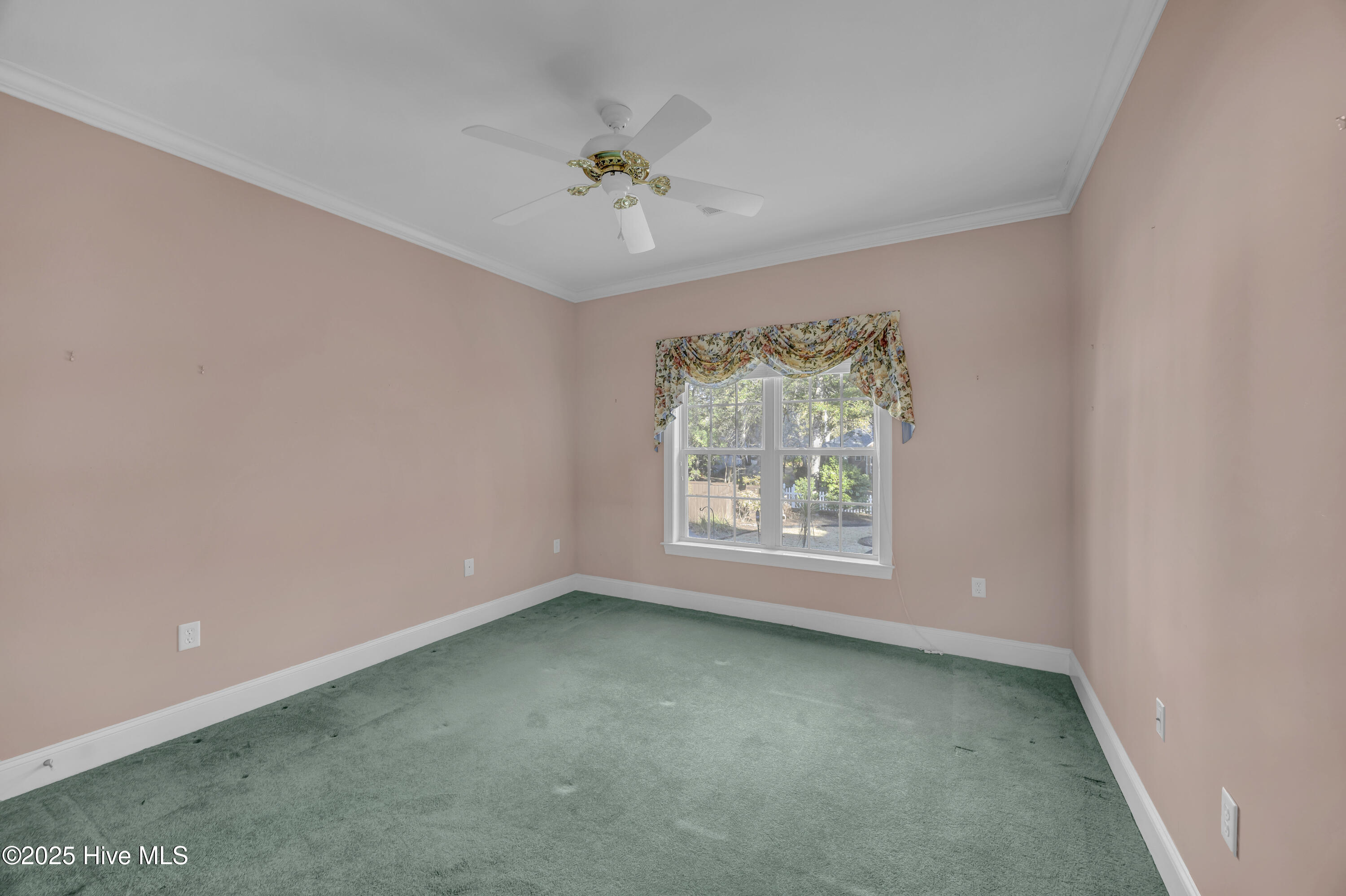 100546404 | Photo 21