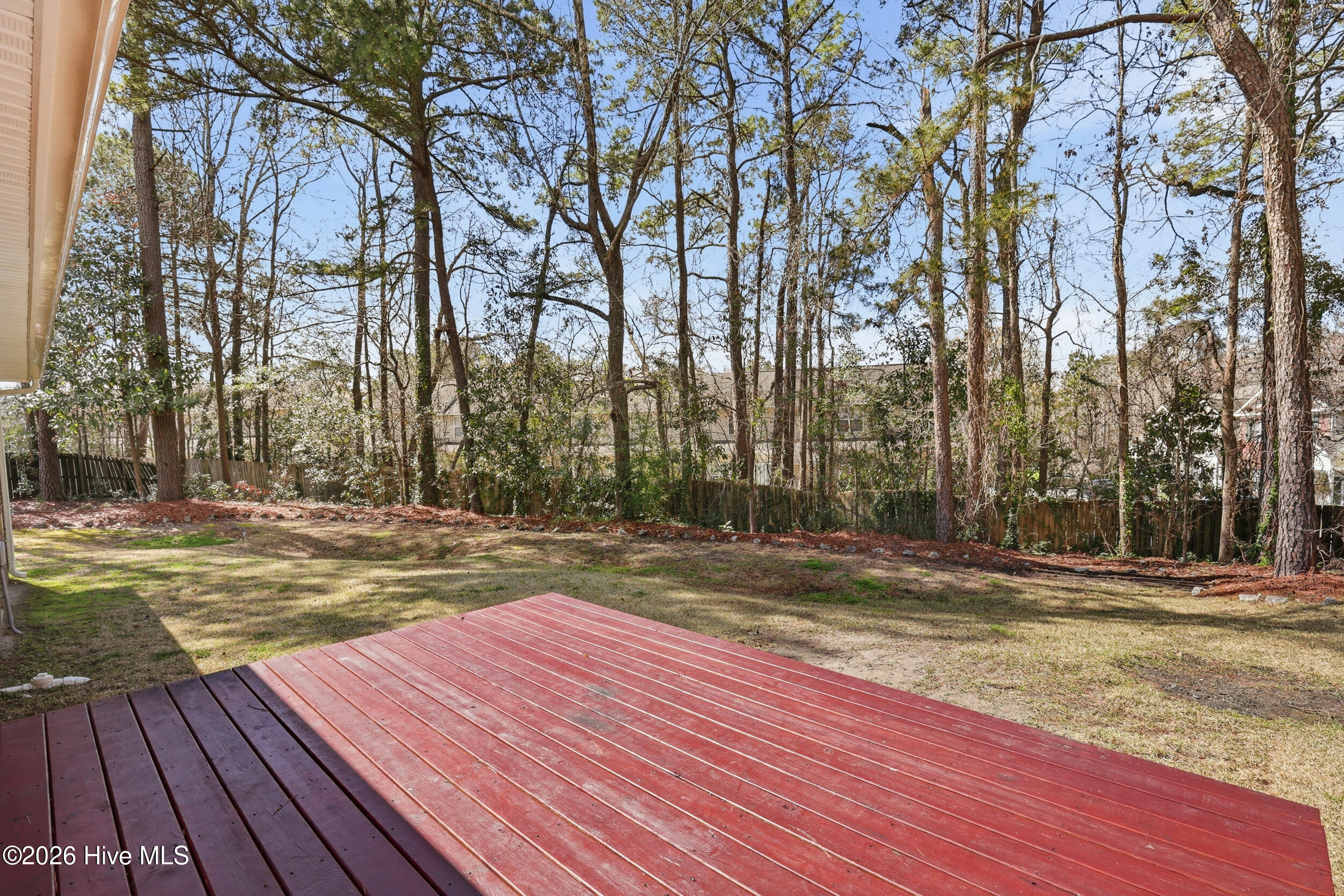 100559679 | Photo 32