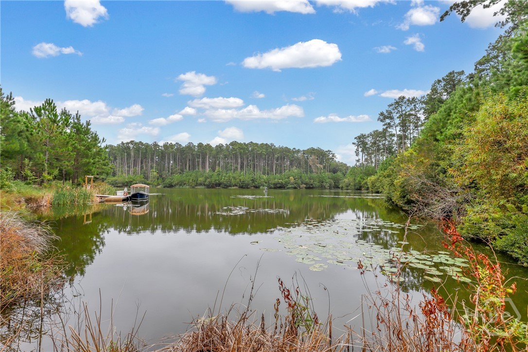 97 Cubbage Island Drive, Richmond Hill, GA 31324 Listing Photo  74