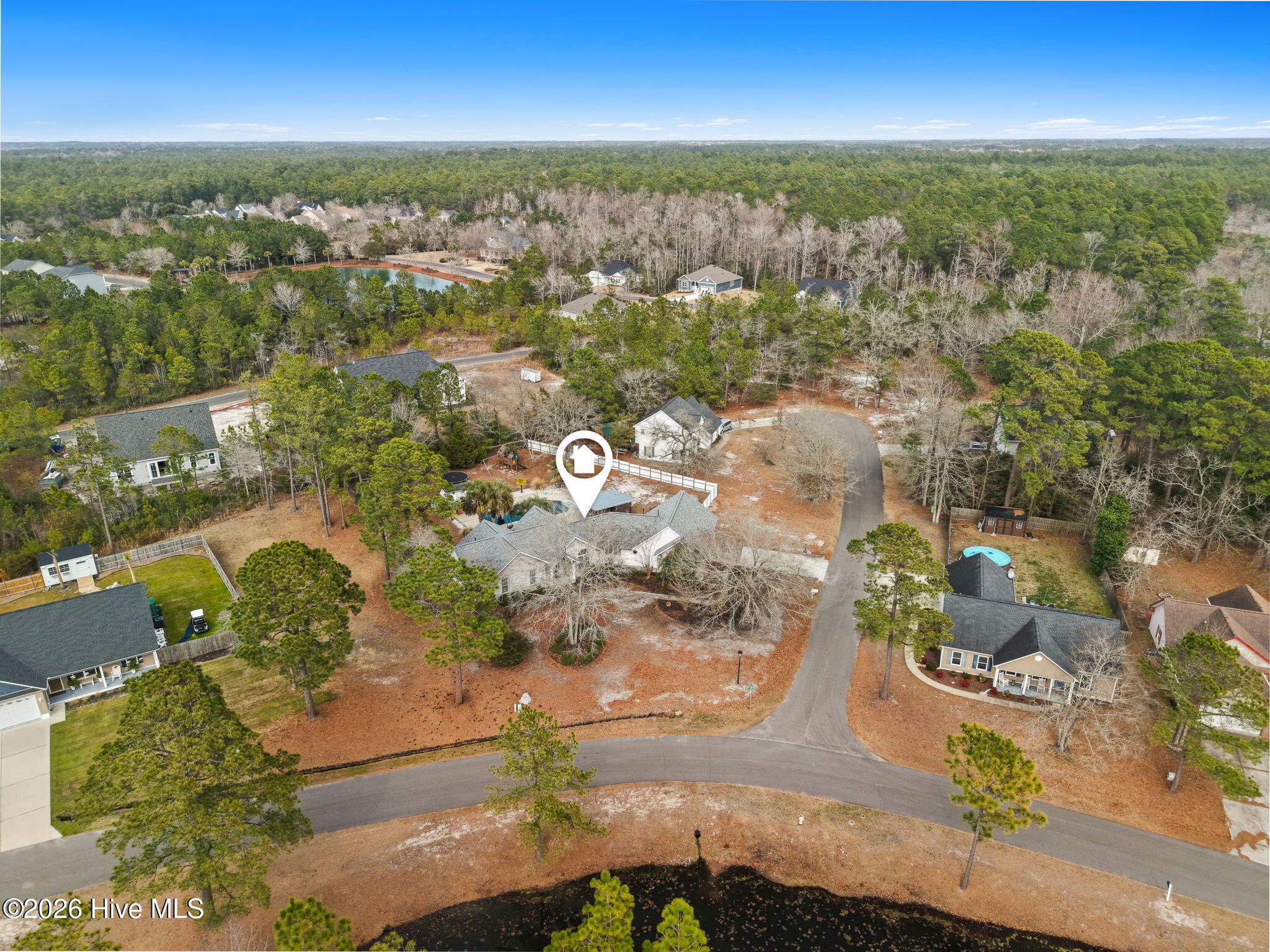 100556346 | Photo 46