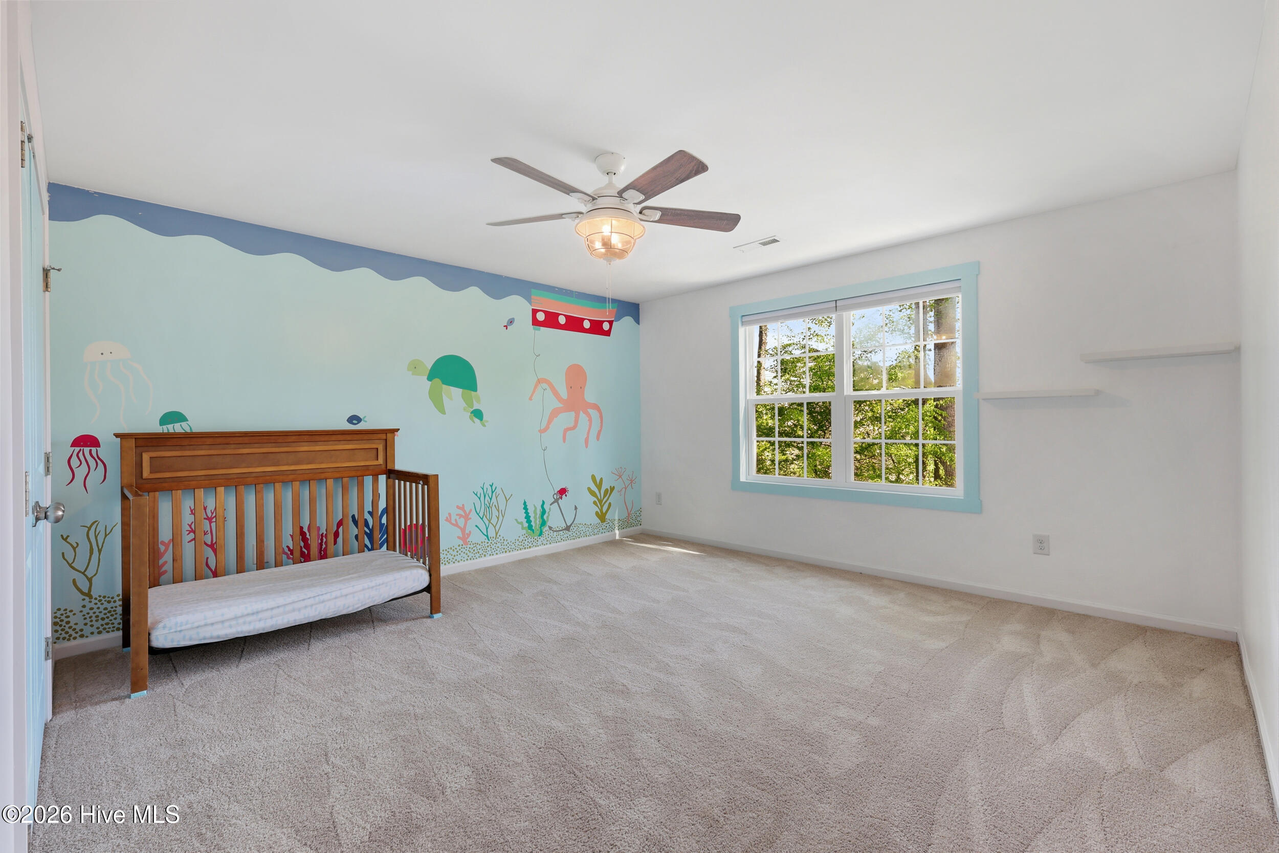 100567487 | Photo 23