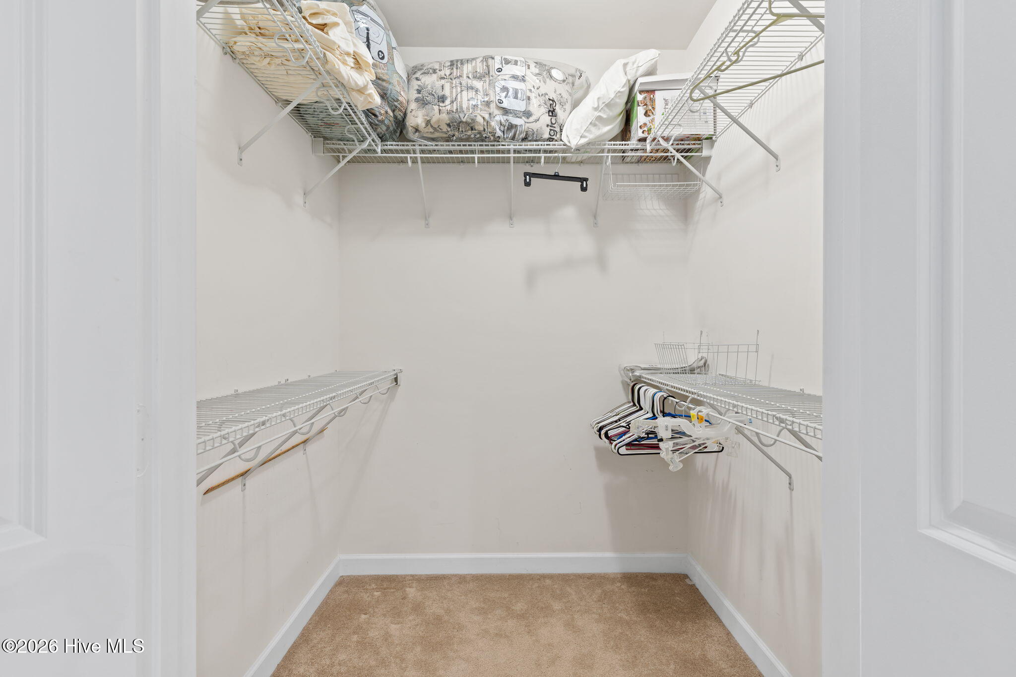 100548351 | Photo 21