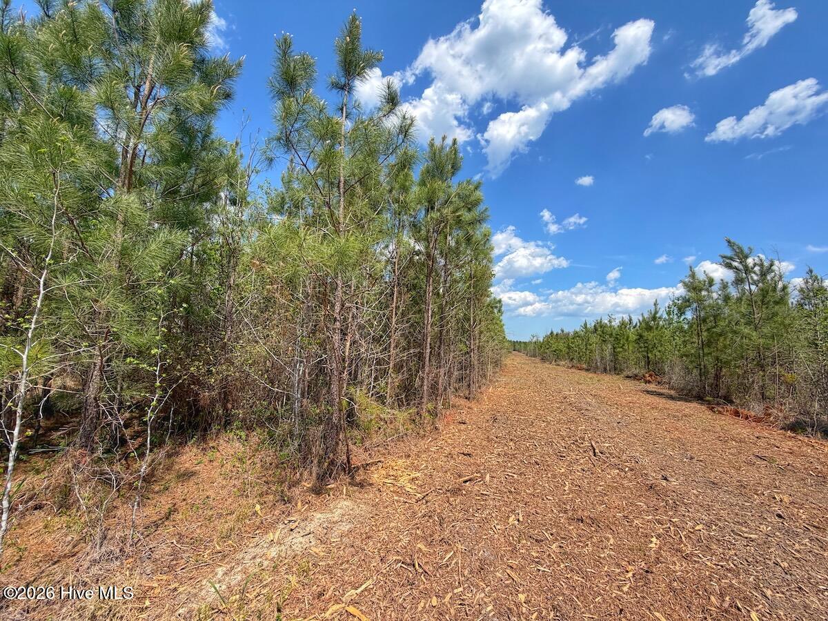 0 Guinea Mill Road, Ernul, NC, 28527