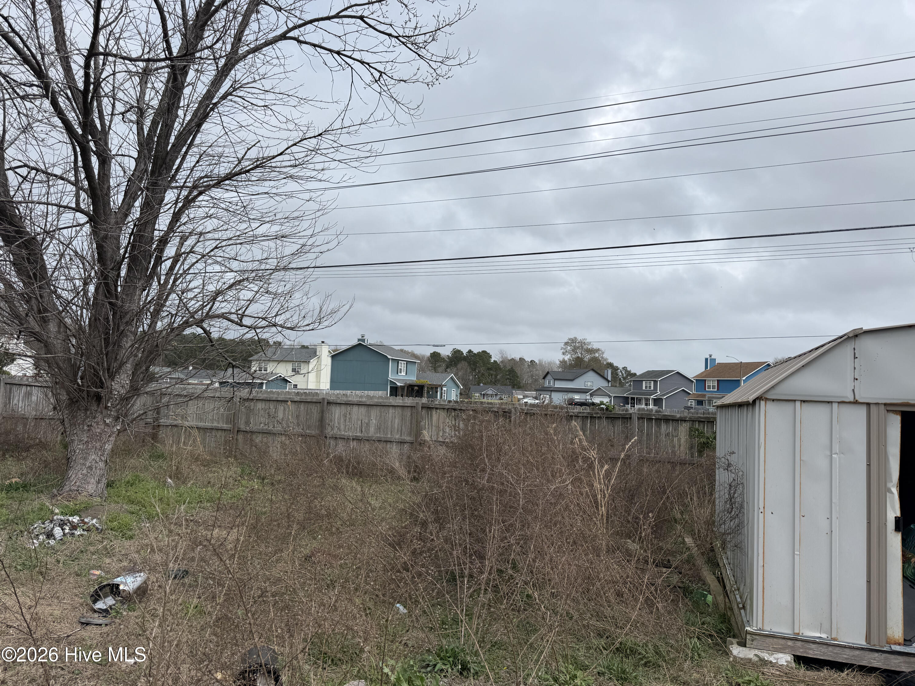 100562239 | Photo 11