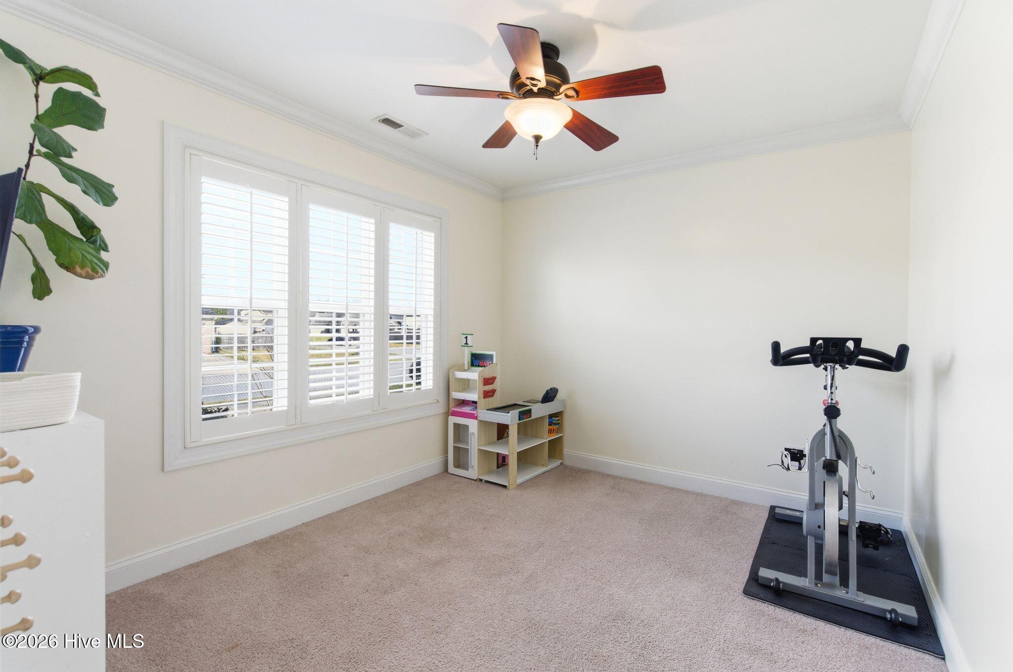 100561216 | Photo 21