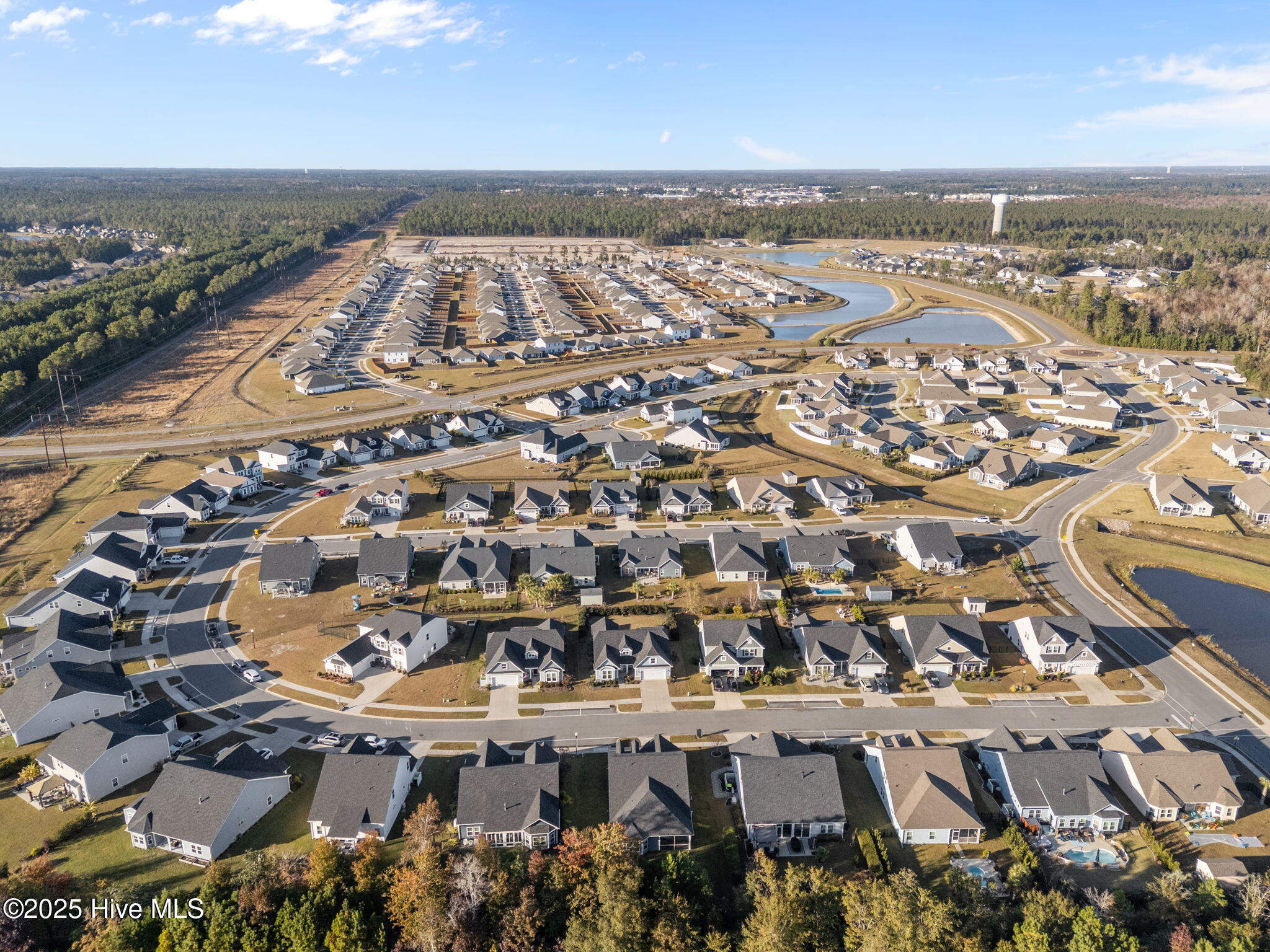 100542134 | Photo 59