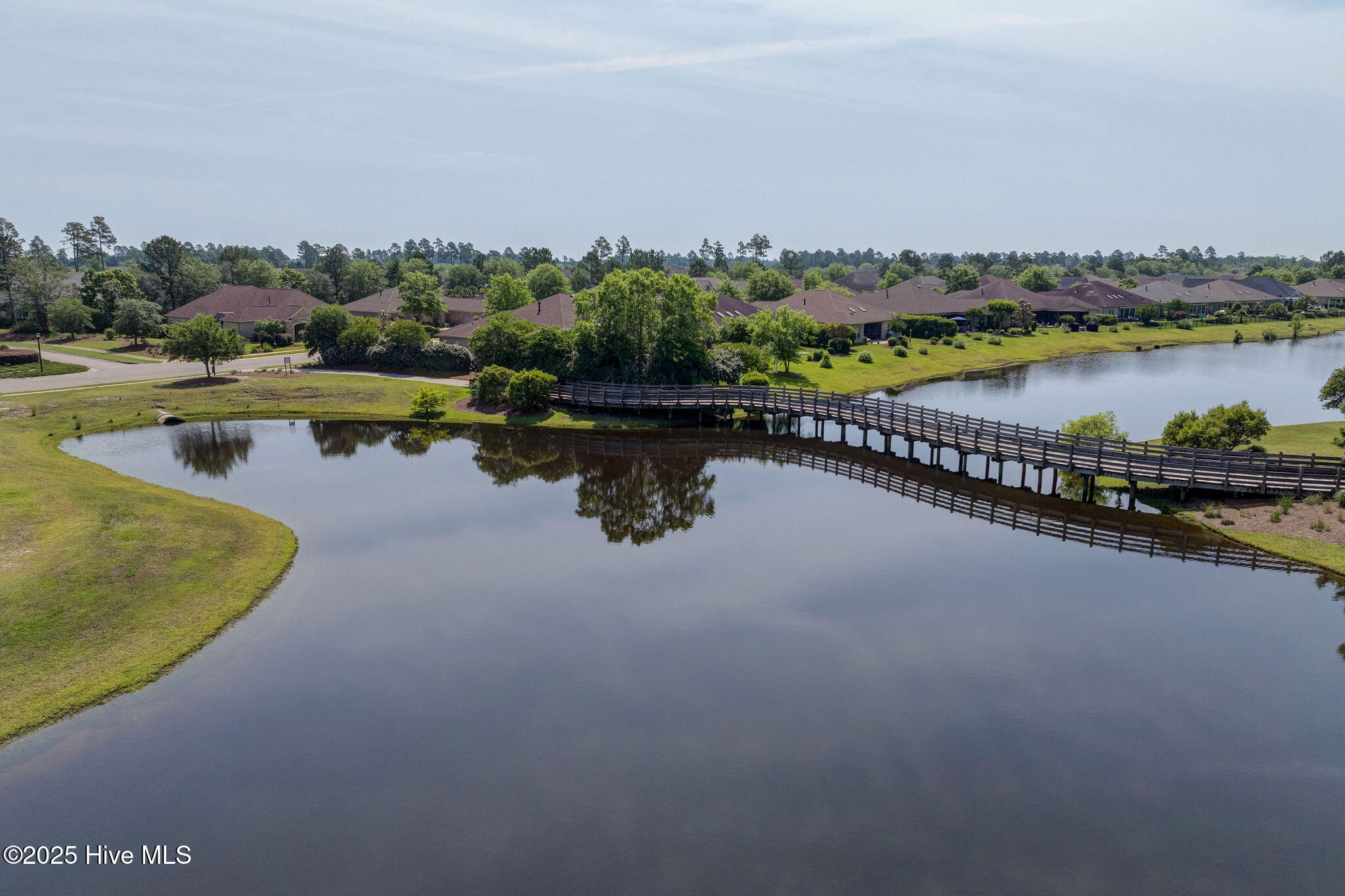 100538241 | Photo 79