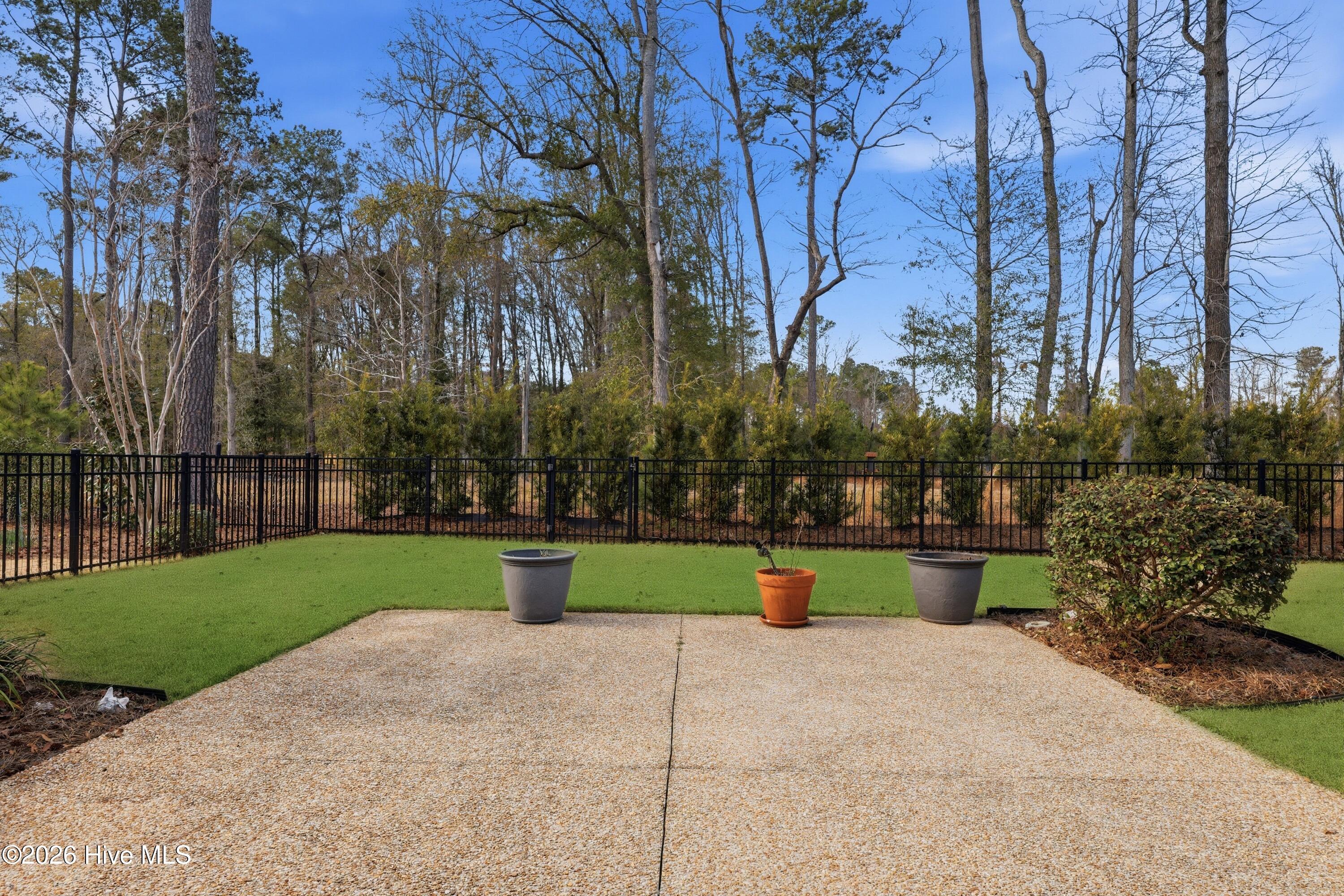 100558541 | Photo 33