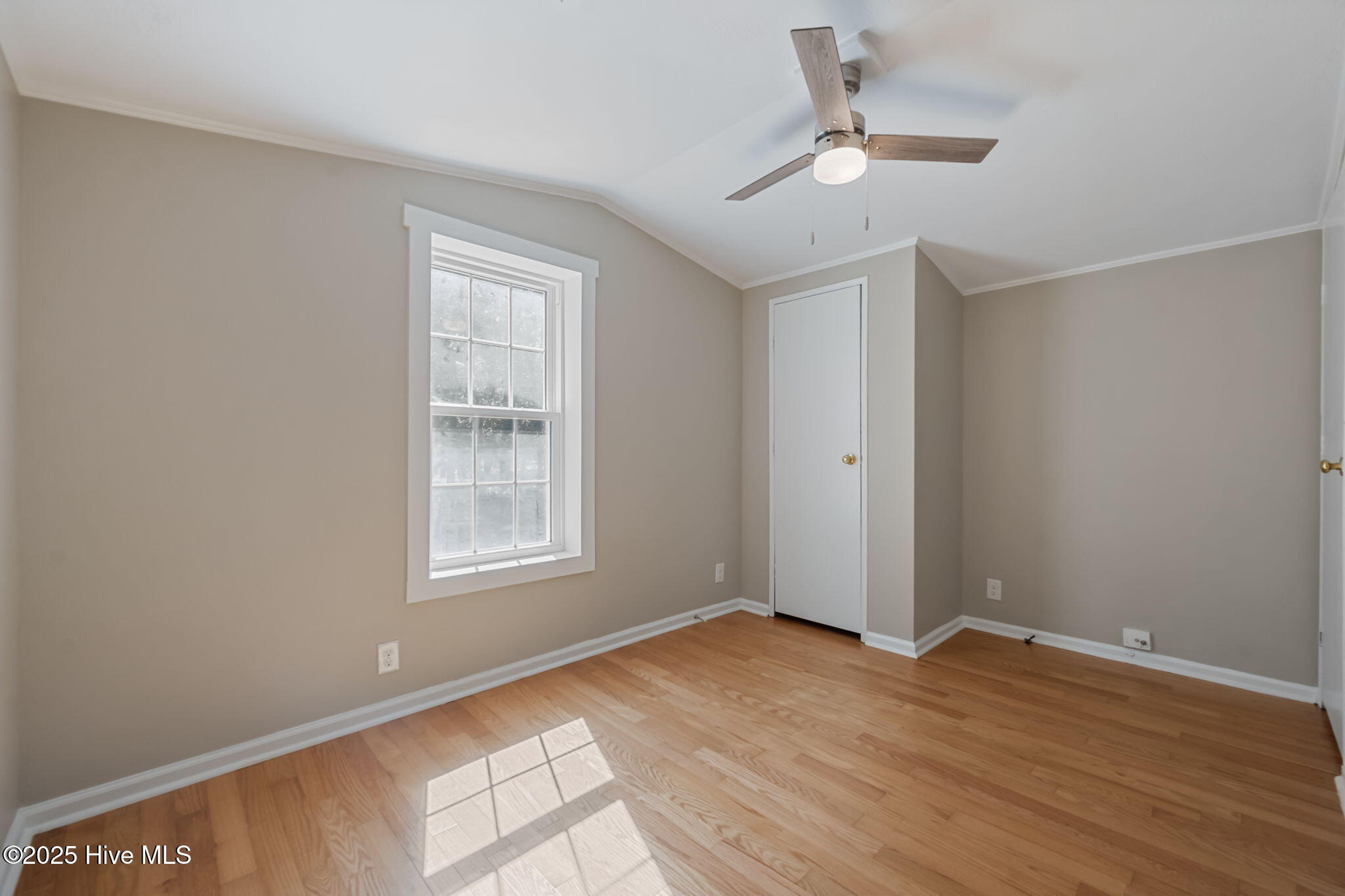 100551658 | Photo 28