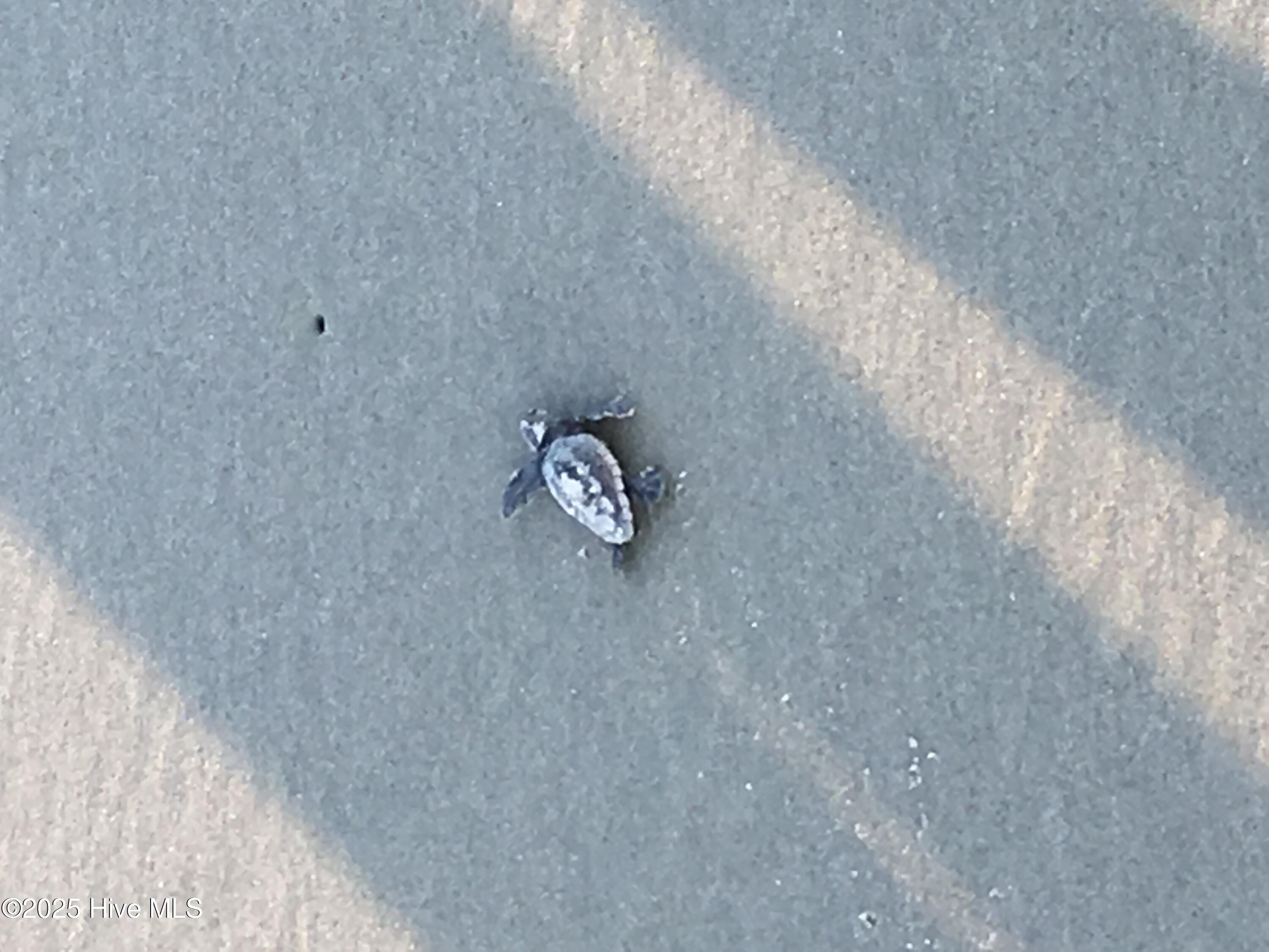 100551288 | Photo 46