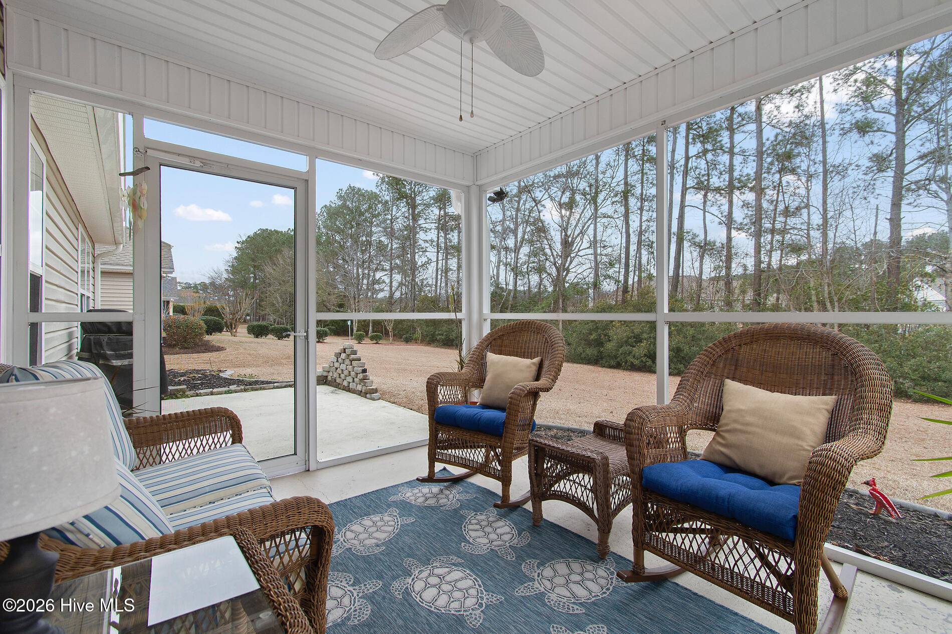 100555398 | Photo 20