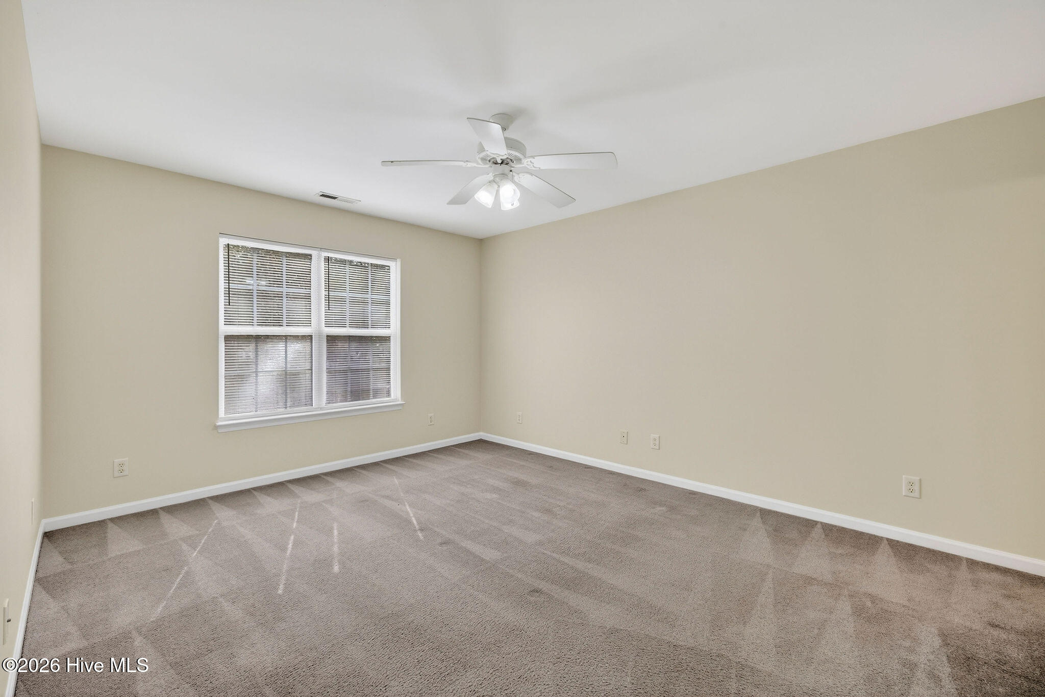 100556599 | Photo 25