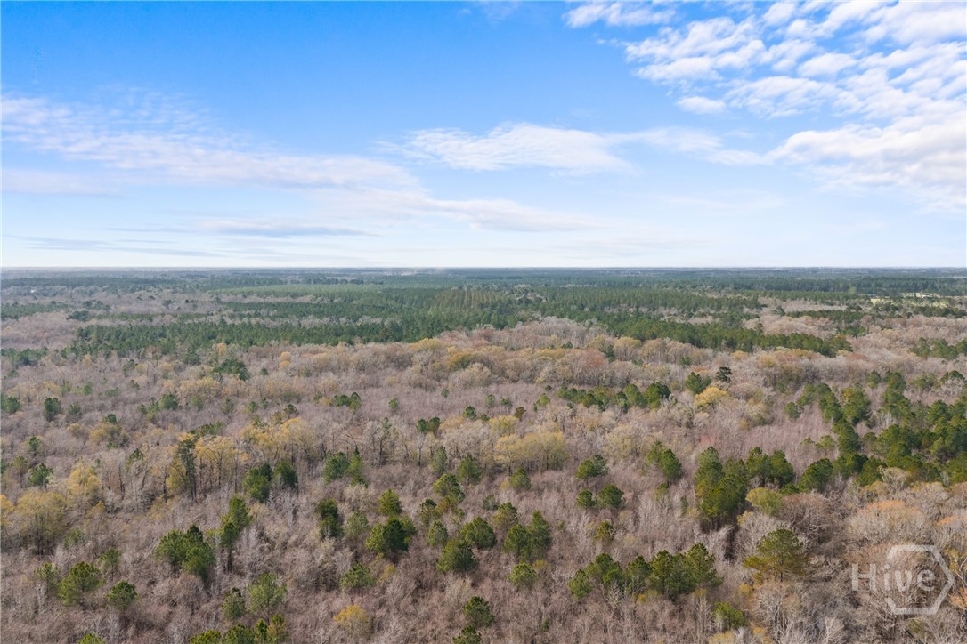 1000 Old River Road S, Brooklet, GA, 30415