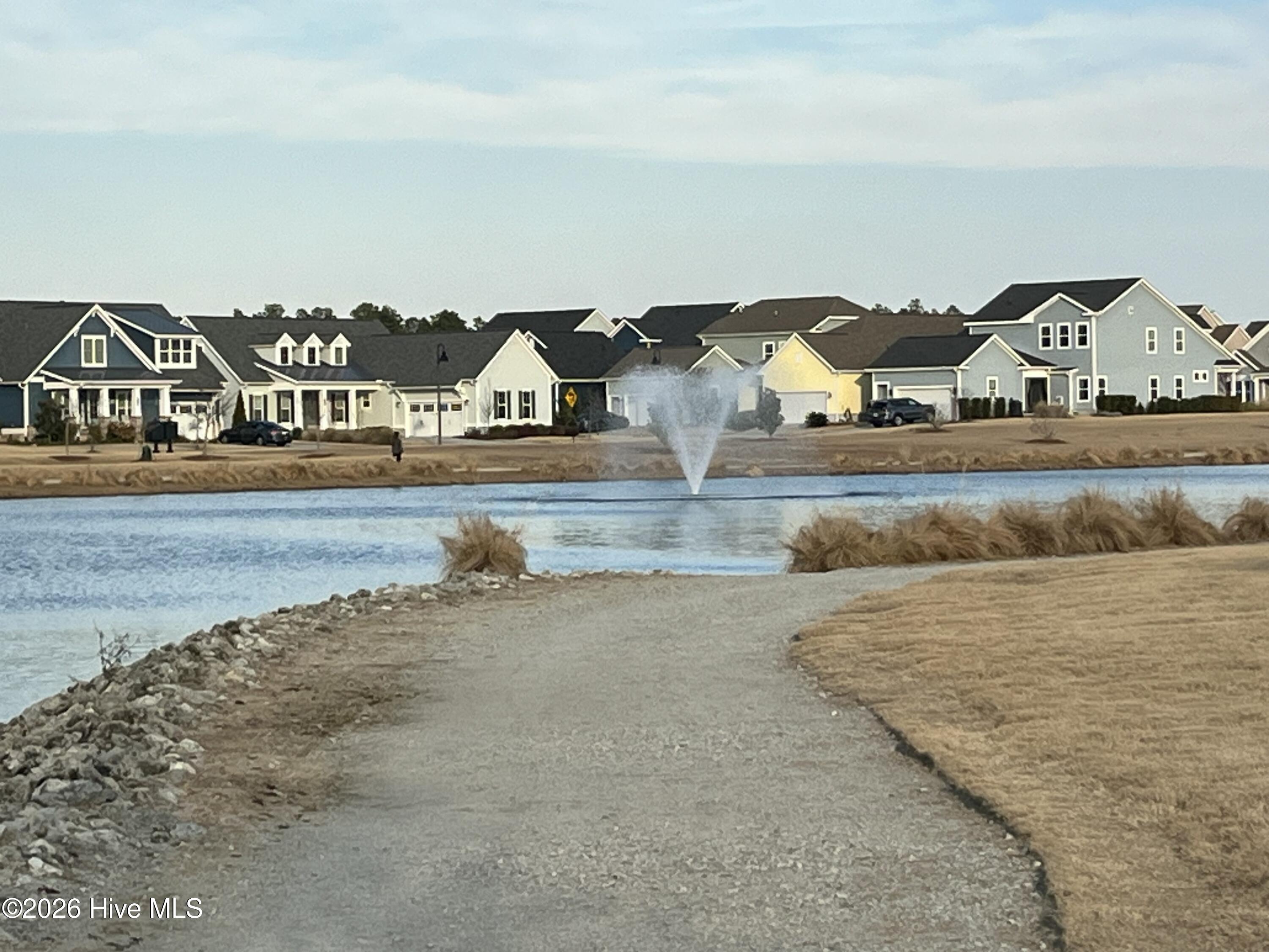 100554120 | Photo 80