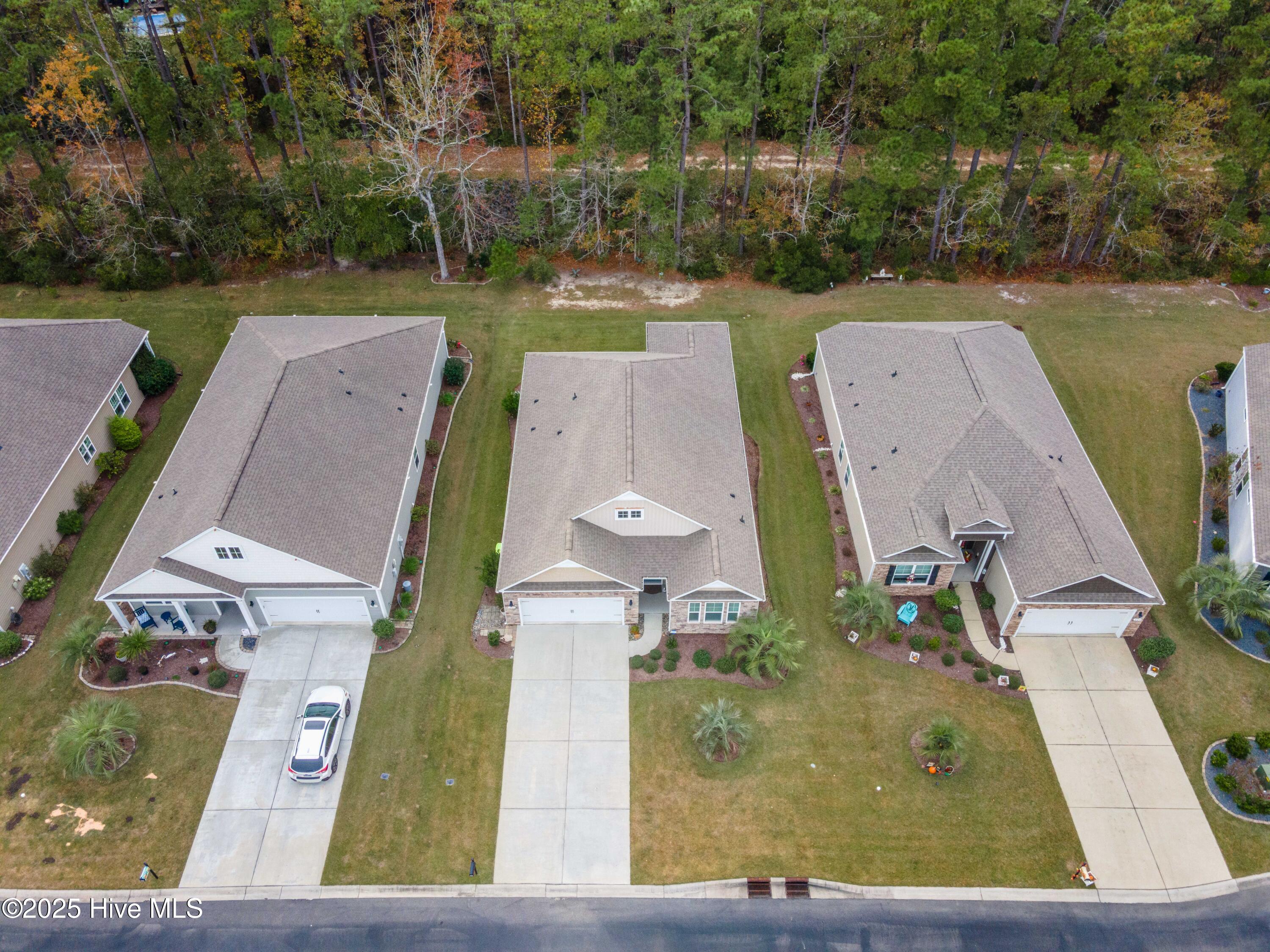 100541671 | Photo 61