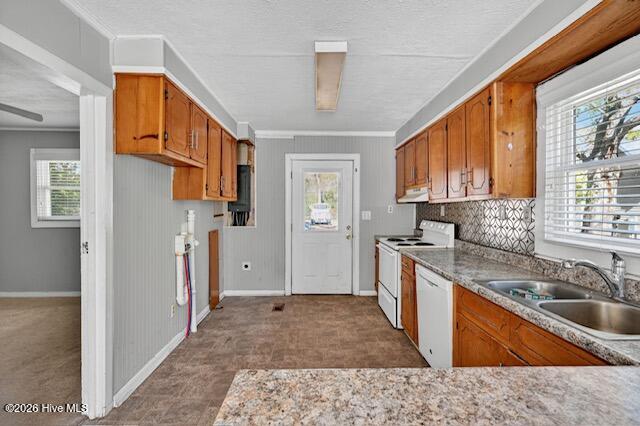 100553943 | Photo 16