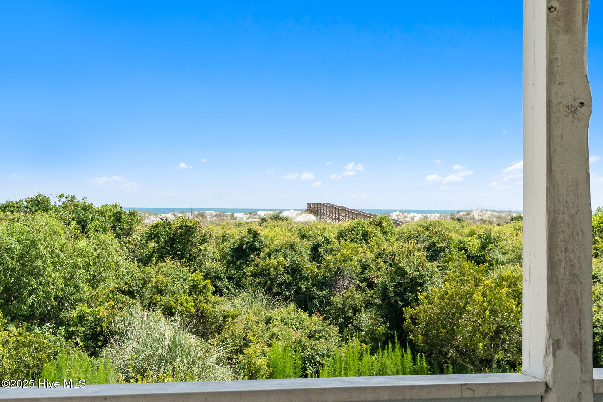 100517411 | Photo 36