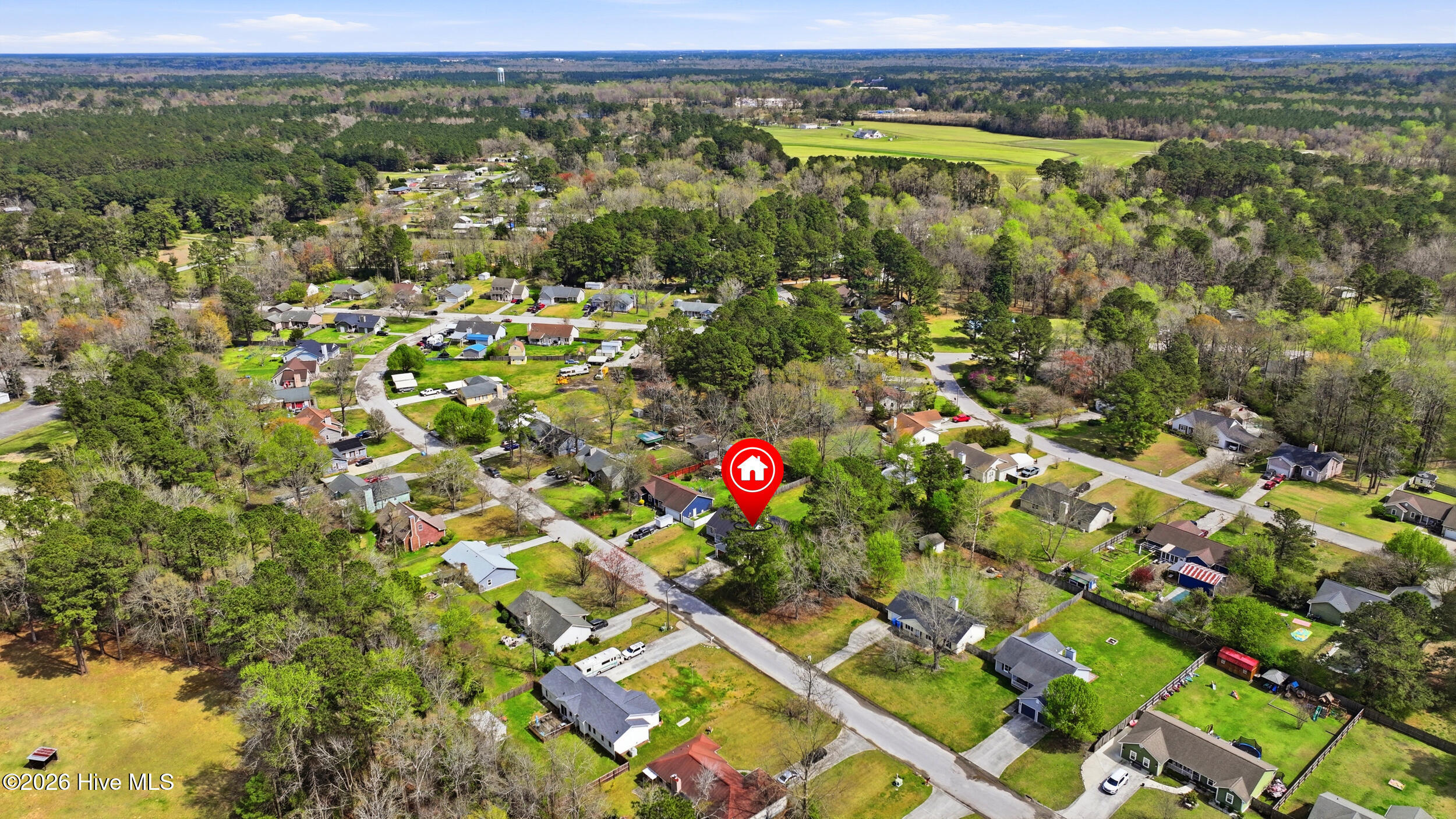 100562162 | Photo 35