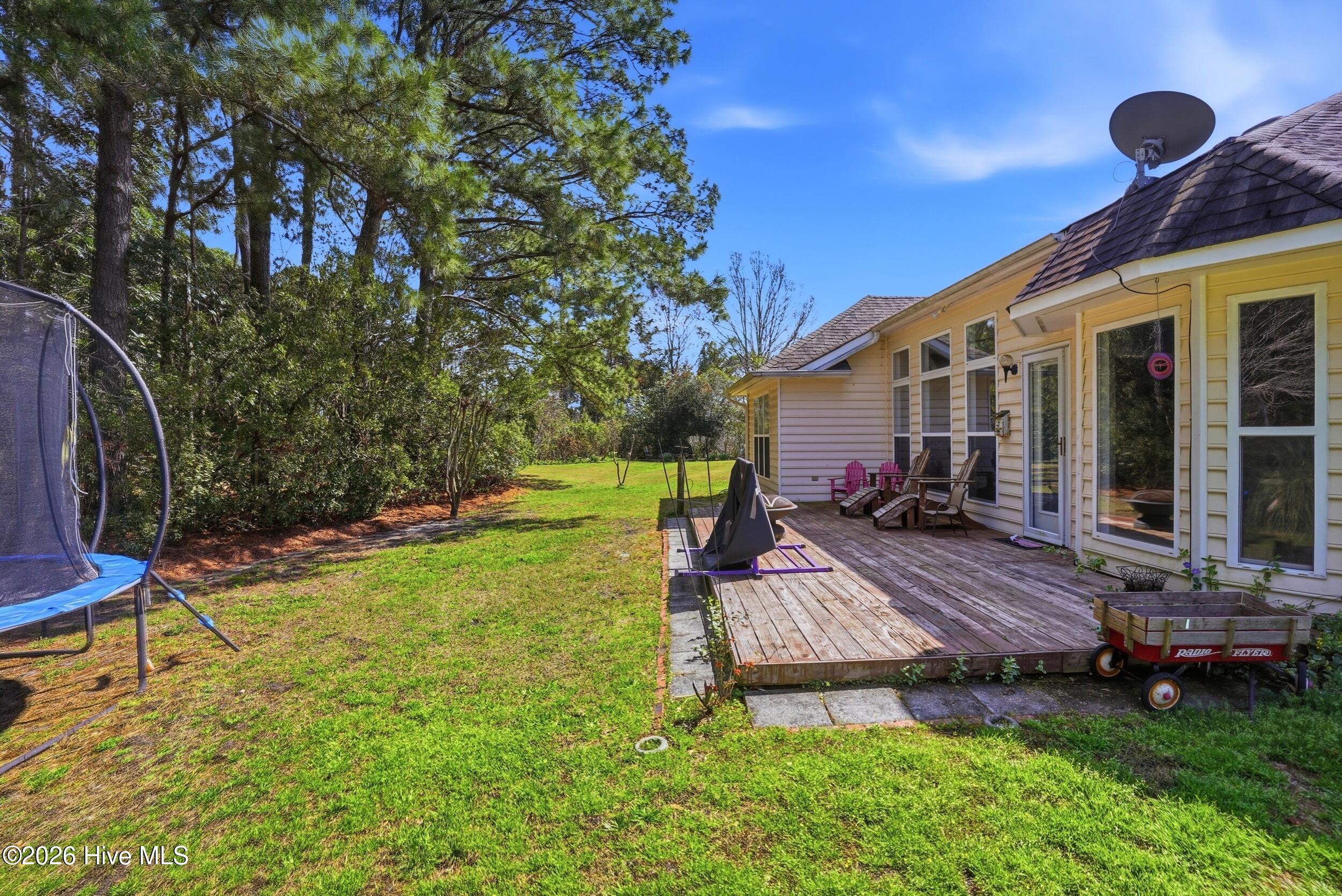 100559027 | Photo 29