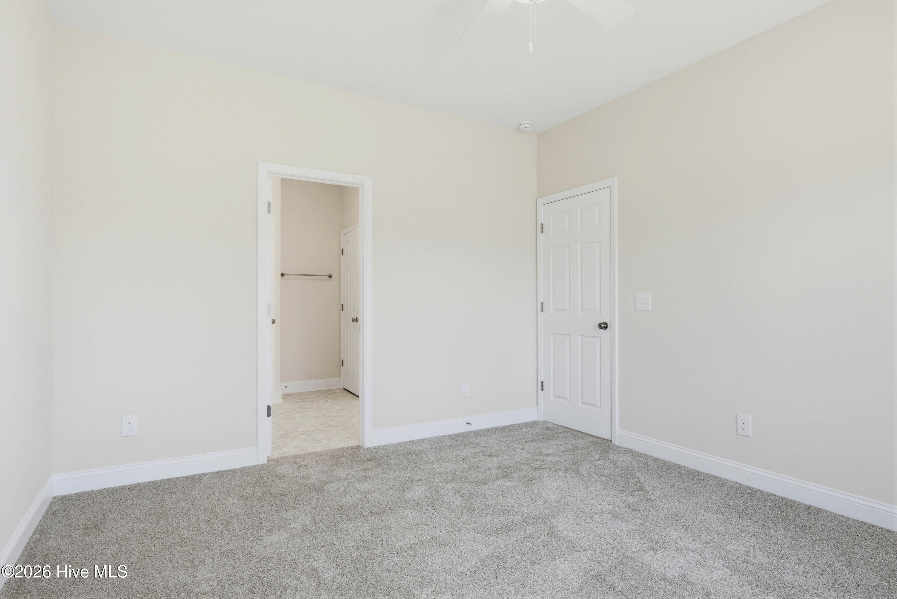 100567421 | Photo 13