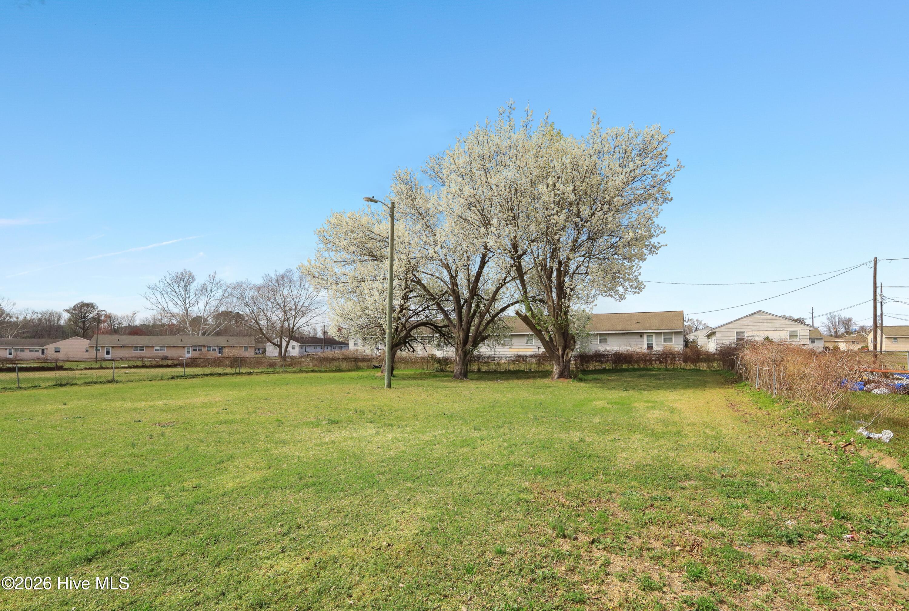 100560187 | Photo 51