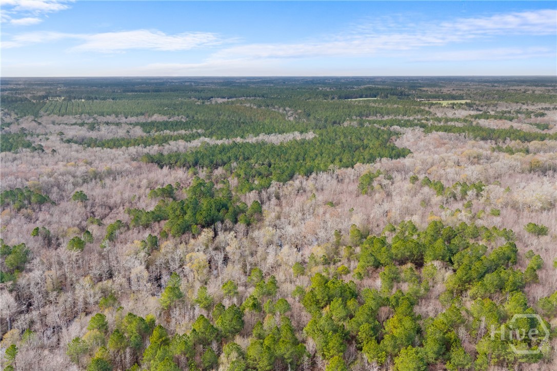 1000 Old River Road S, Brooklet, GA, 30415