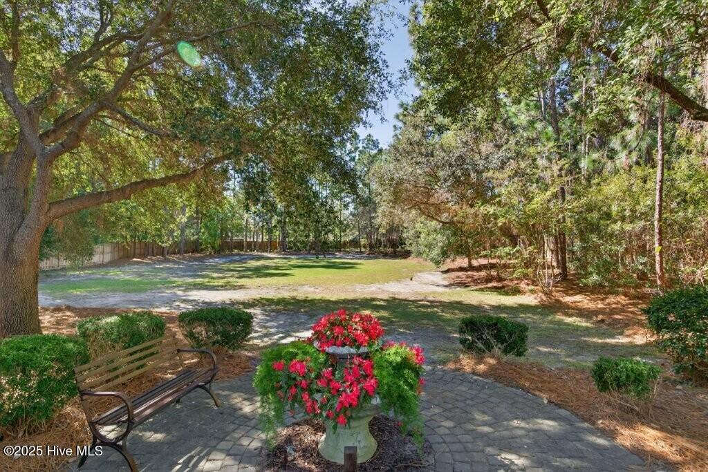 100535369 | Photo 52