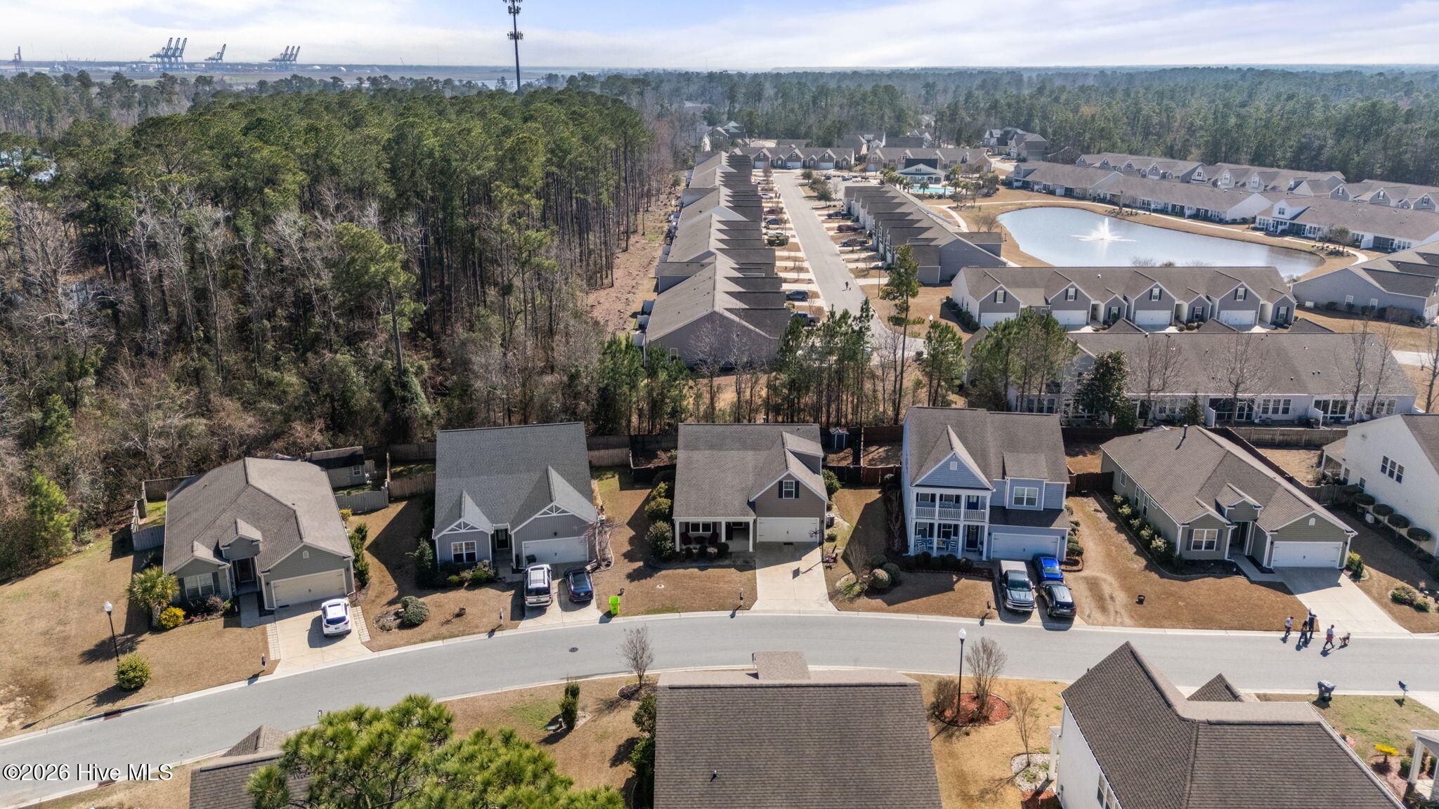 100557369 | Photo 10