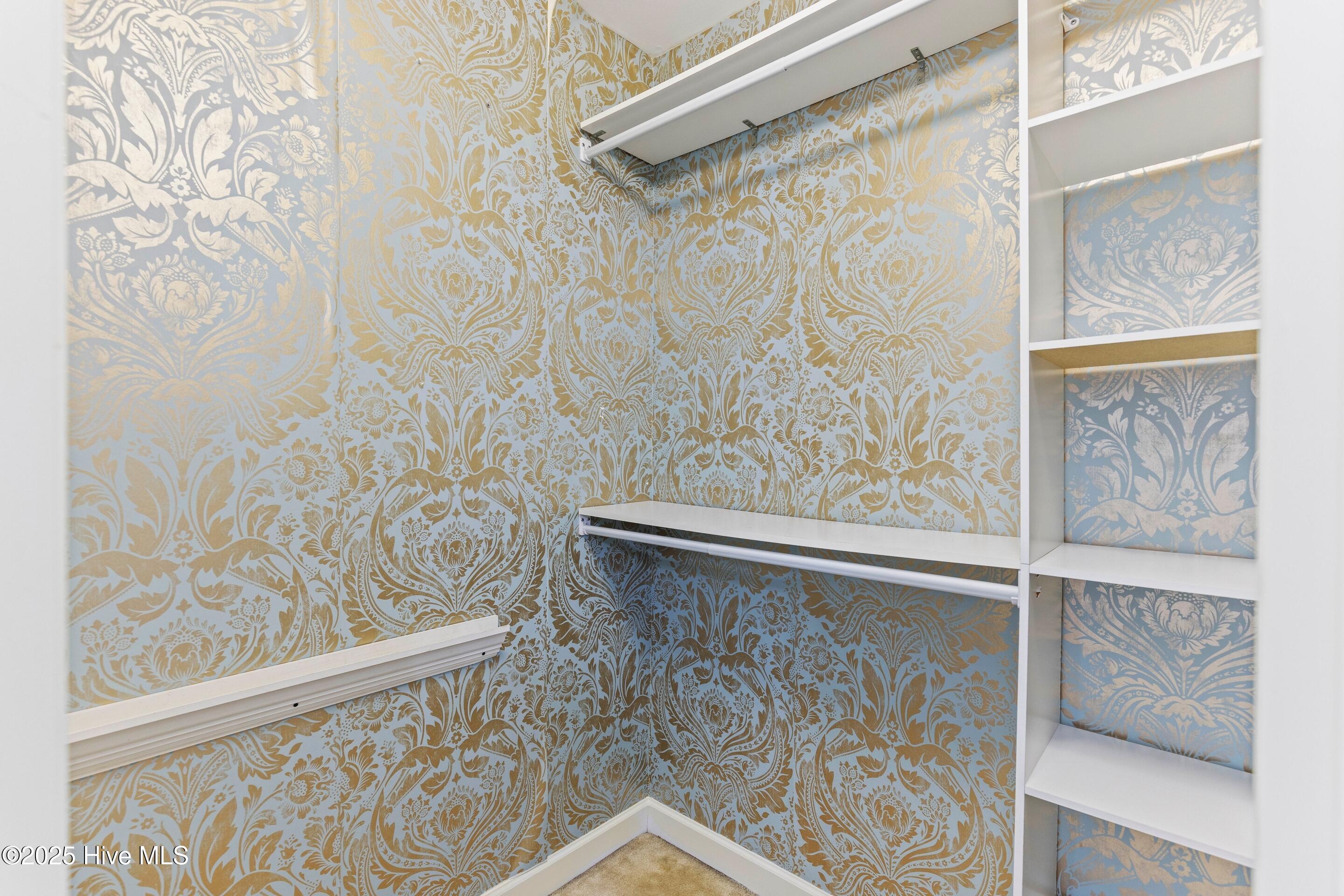 100527201 | Photo 29