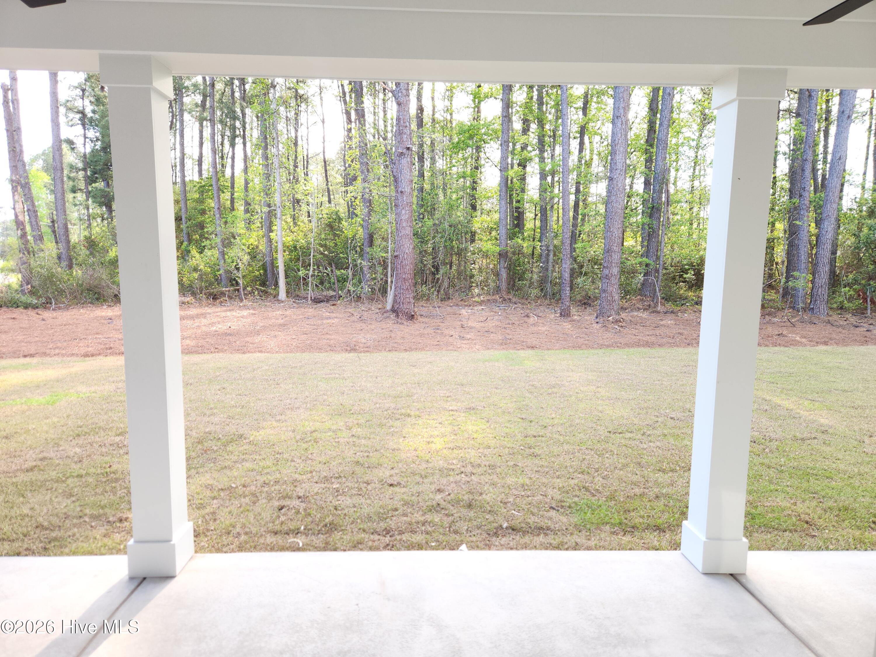 100566196 | Photo 36