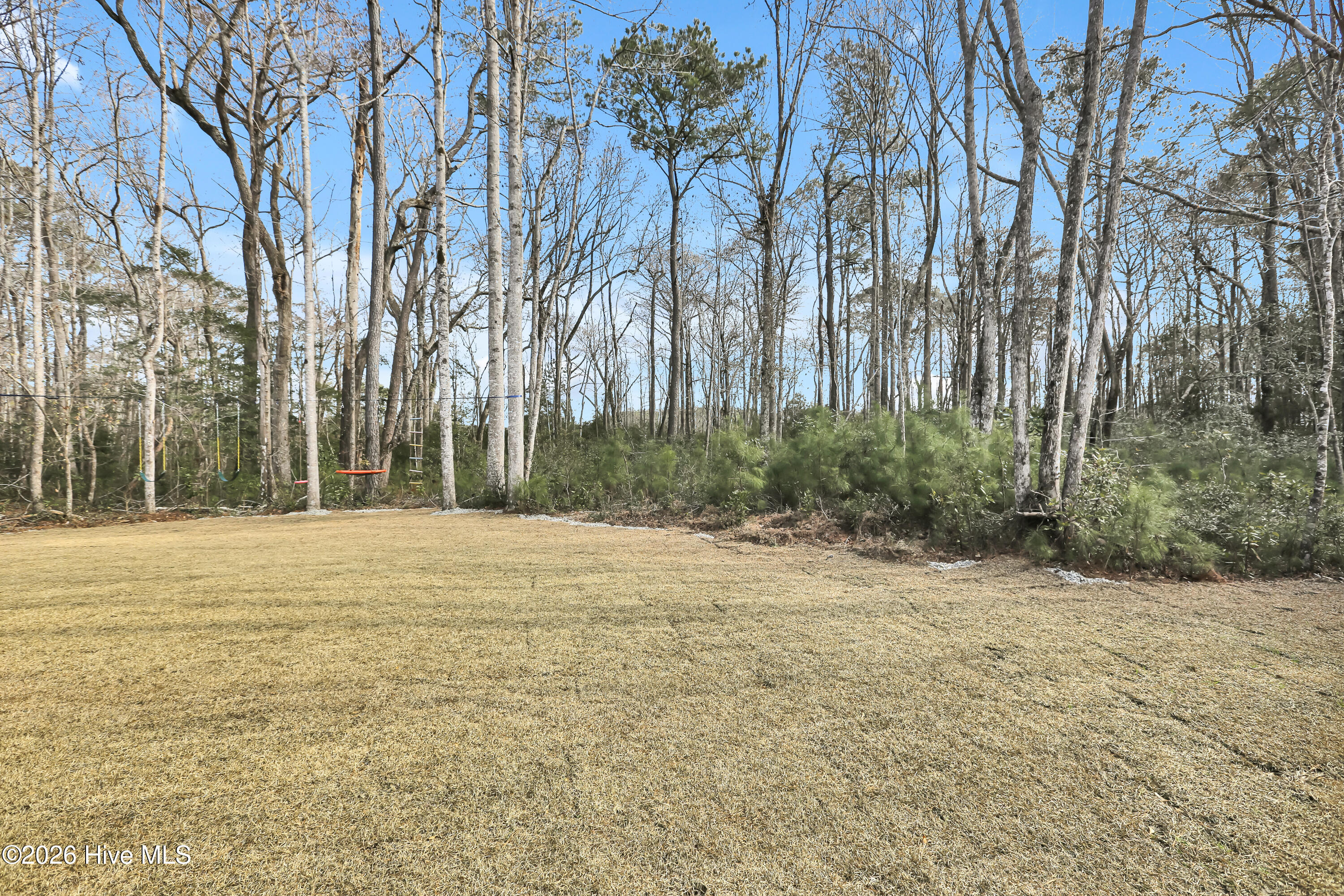 100552855 | Photo 32