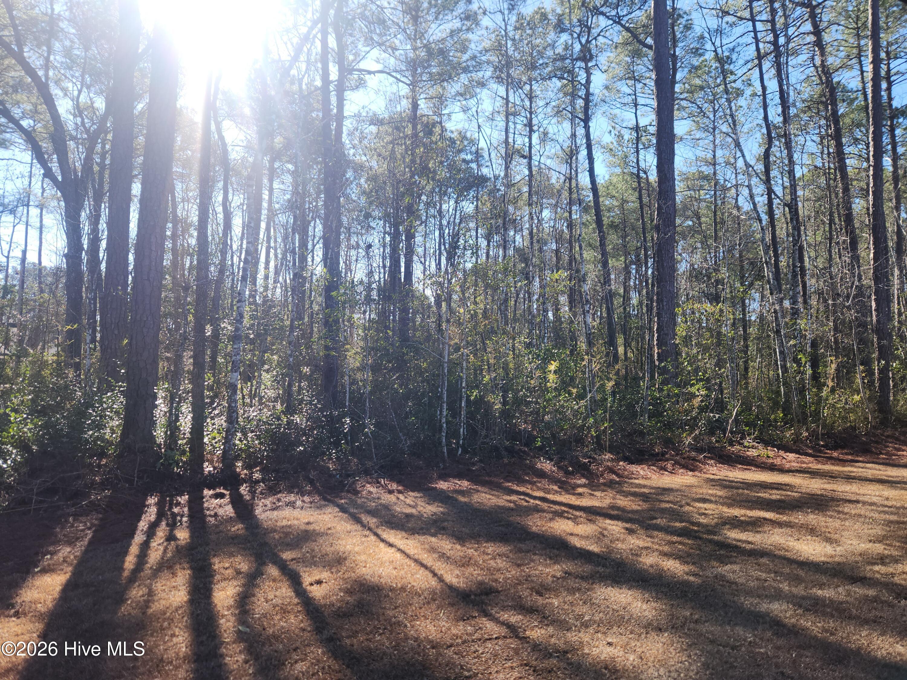 100554103 | Photo 44