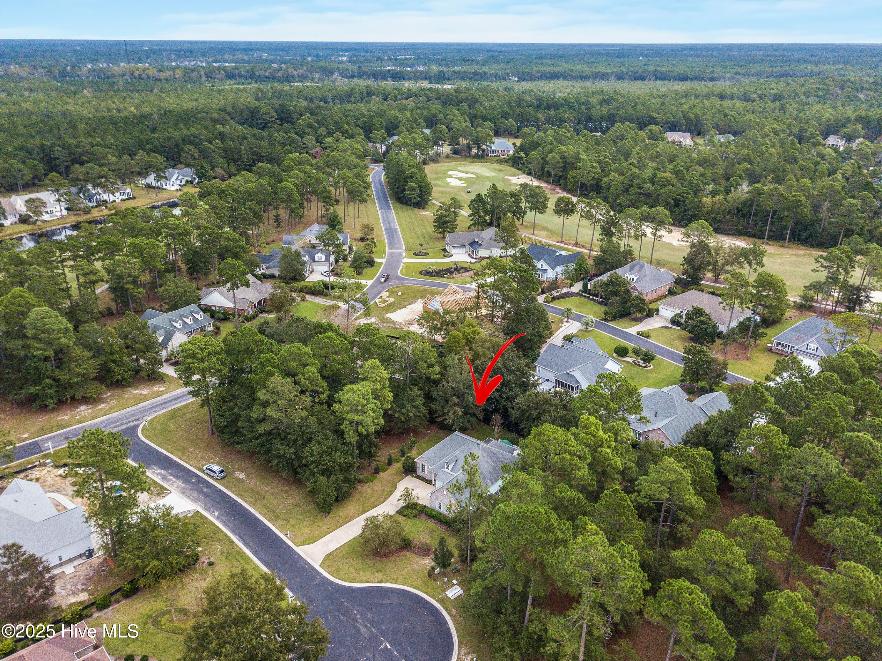 100528316 | Photo 70