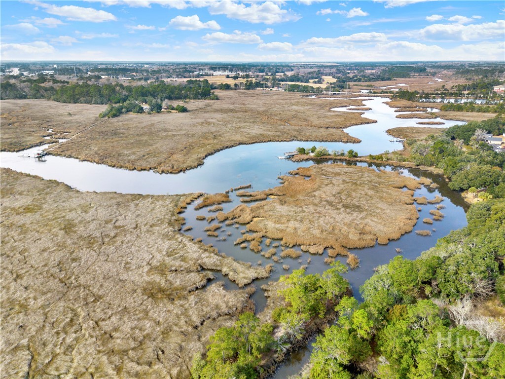 31st image of 187 Burton Rd, Savannah, GA 31405 | MLS# SA340615