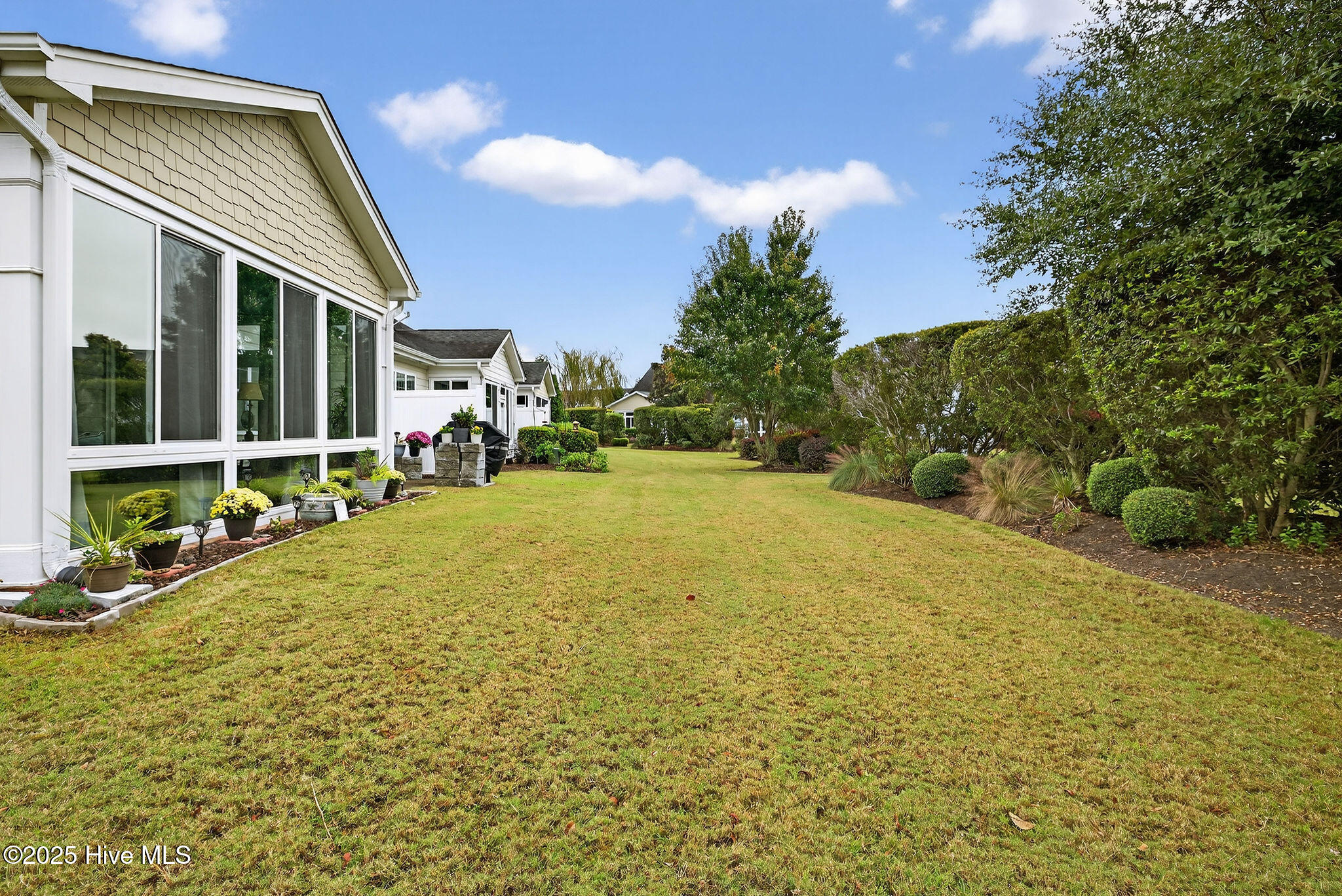 100538895 | Photo 44