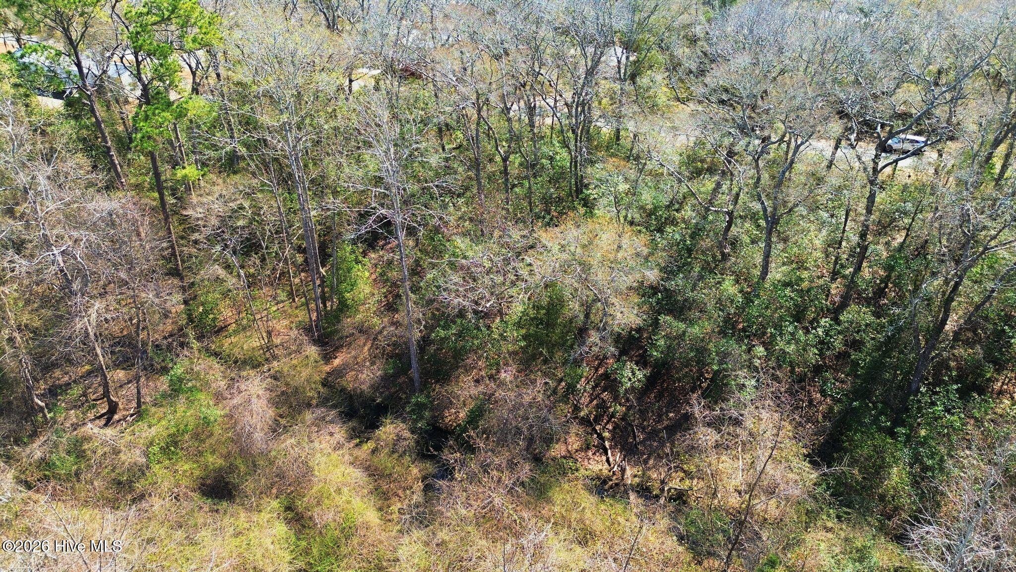 100560121 | Photo 24