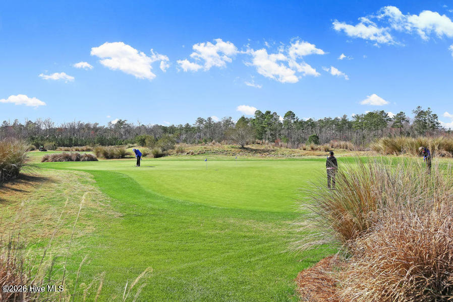 100559889 | Photo 89