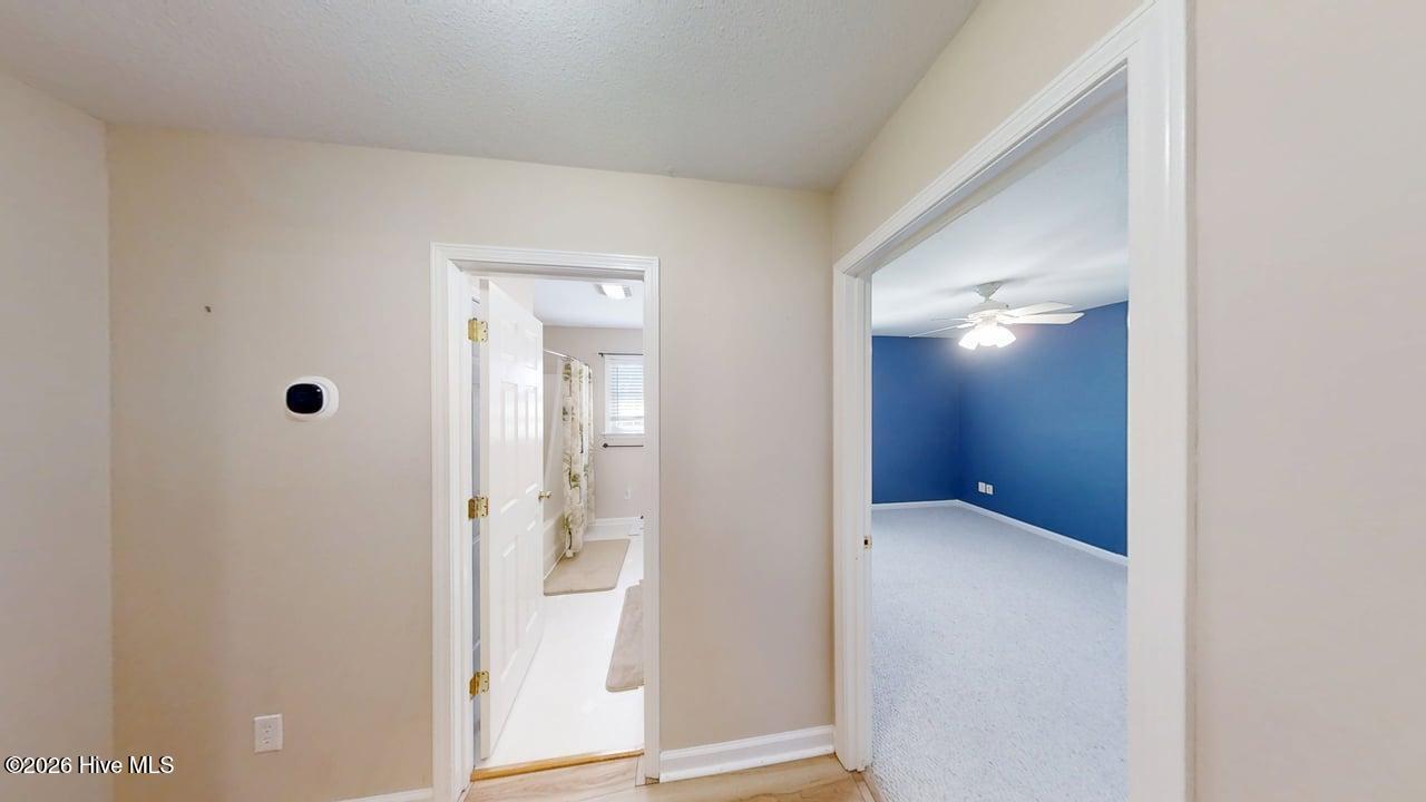 100570322 | Photo 43