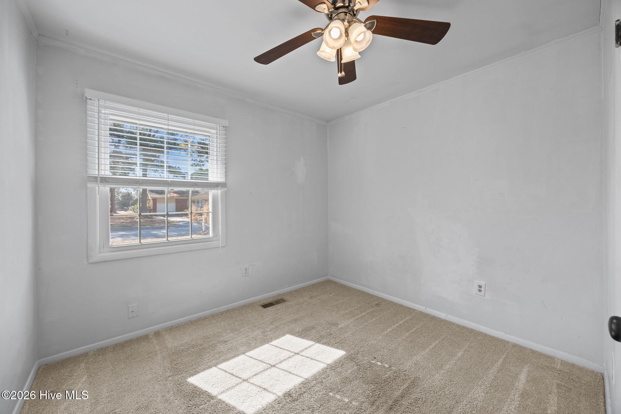 100554228 | Photo 10