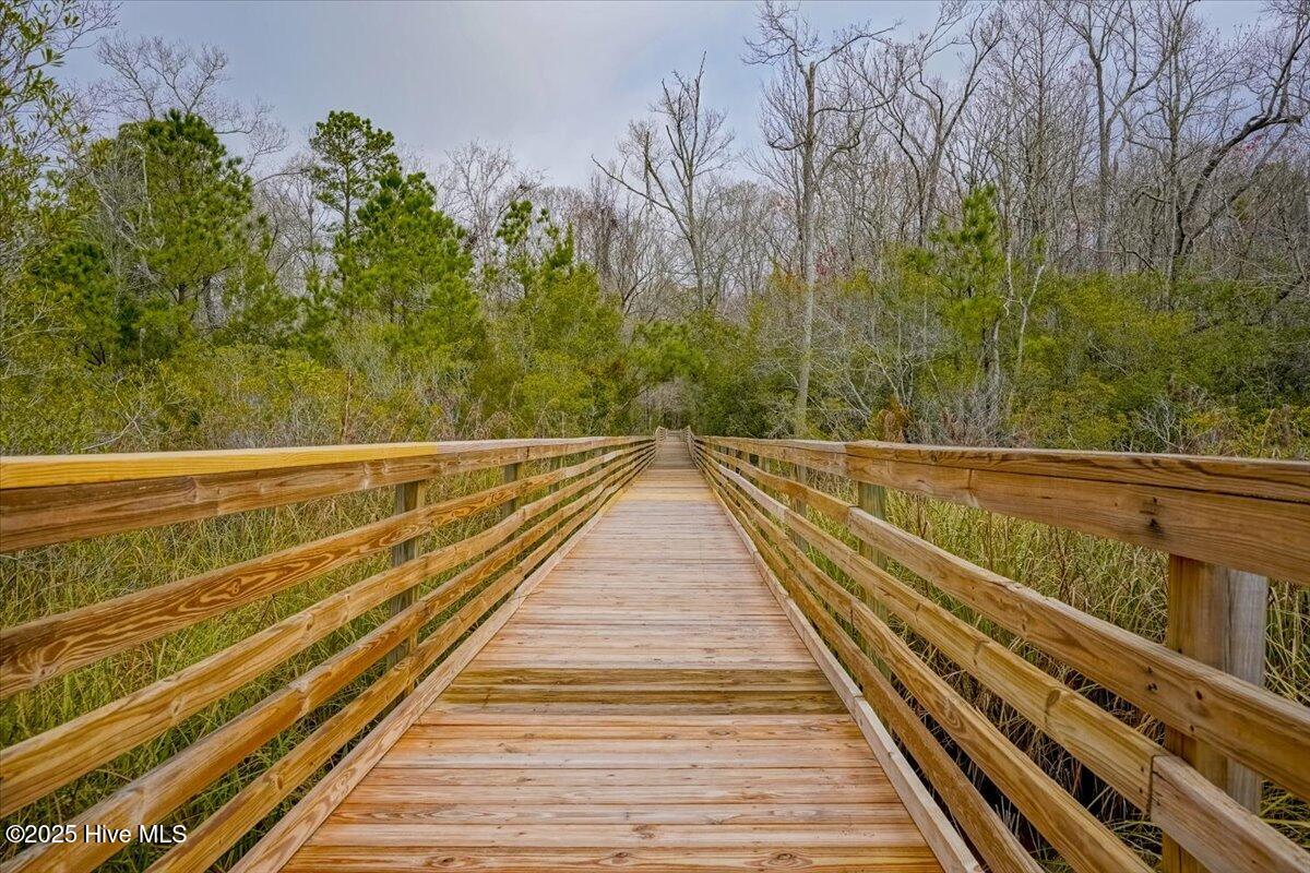 100534521 | Photo 50