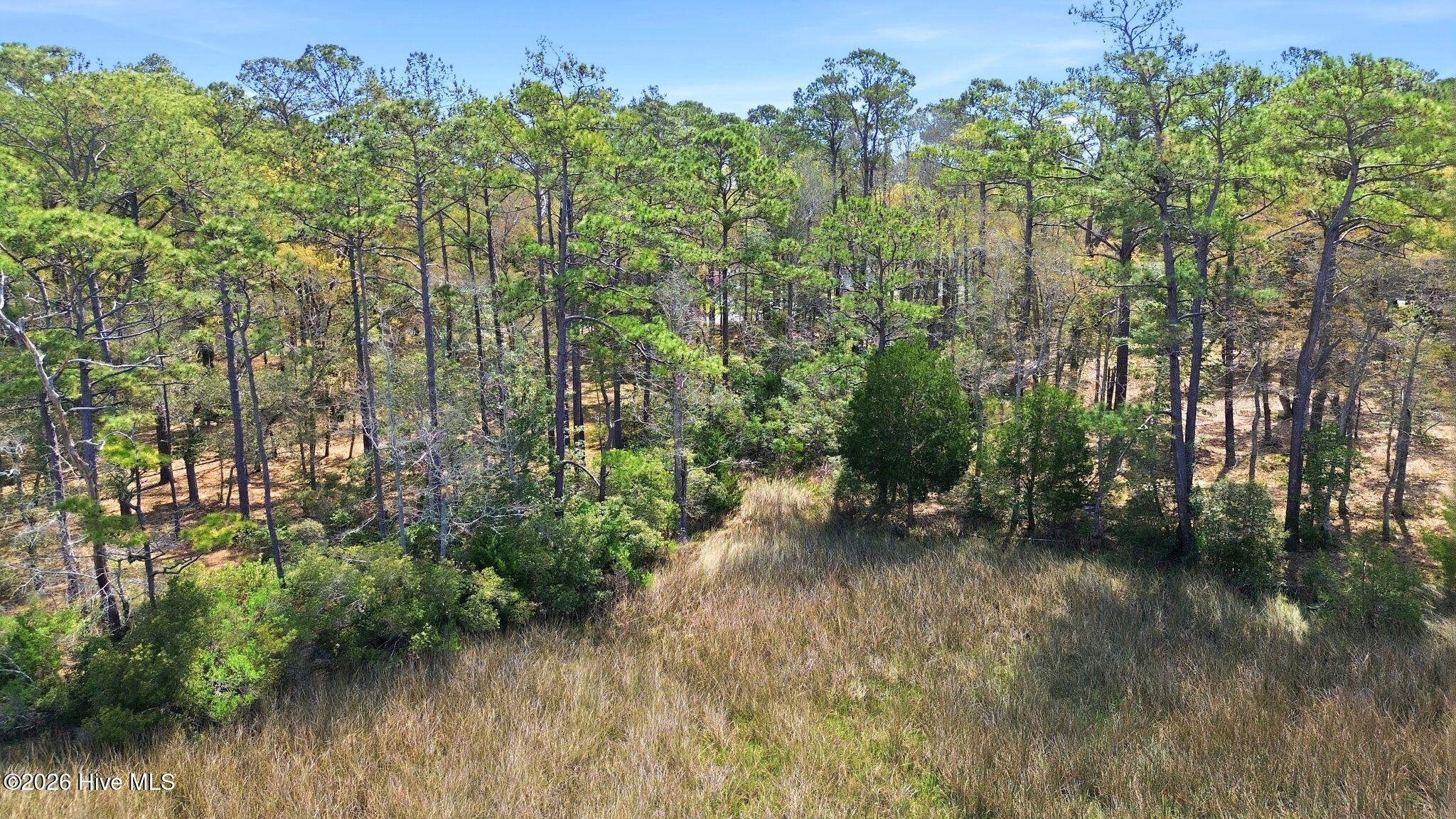 100563683 | Photo 10