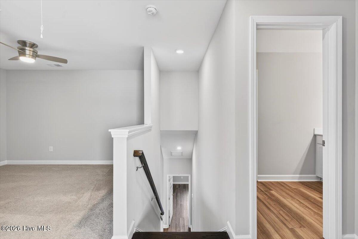 100552947 | Photo 32