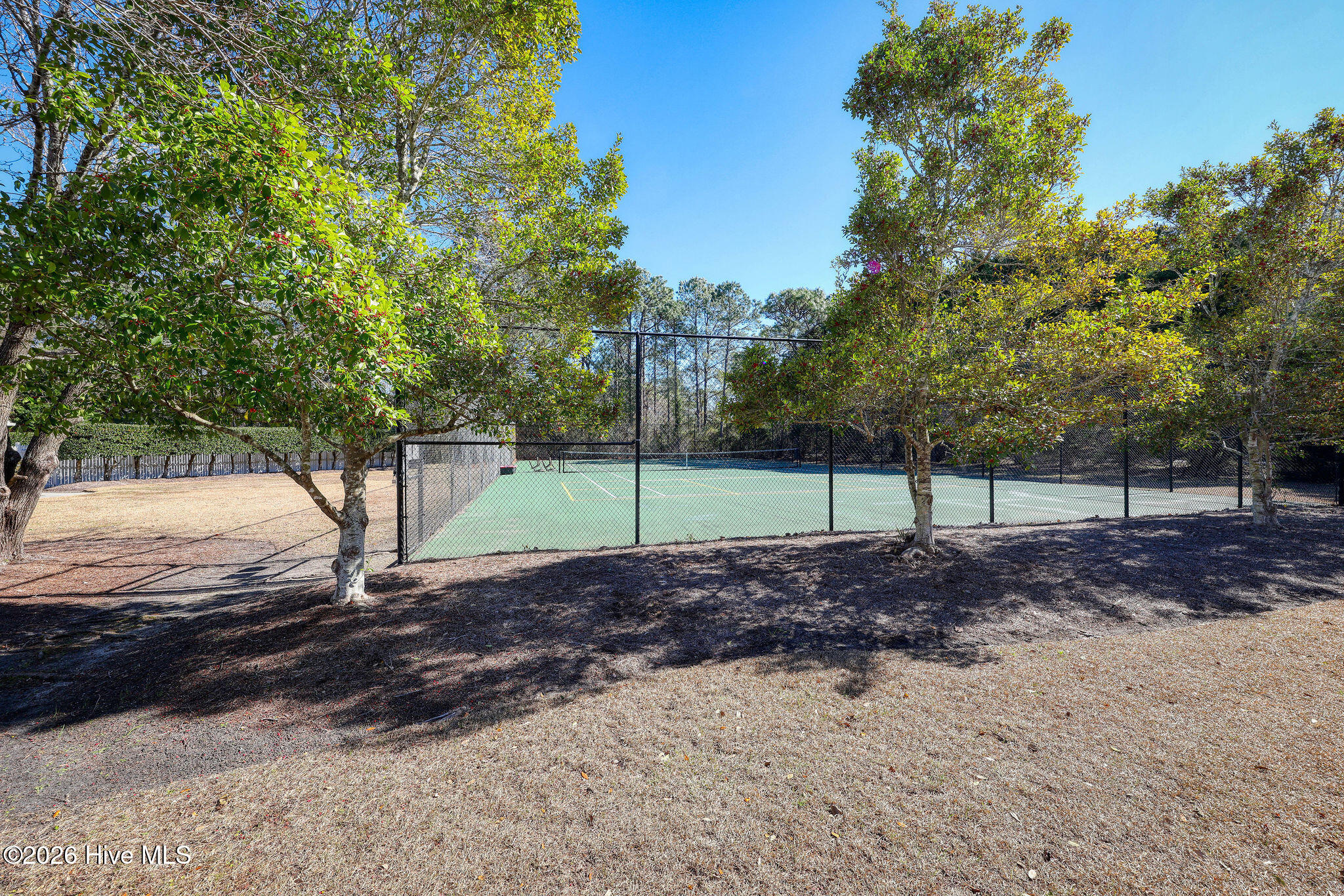 100554180 | Photo 54