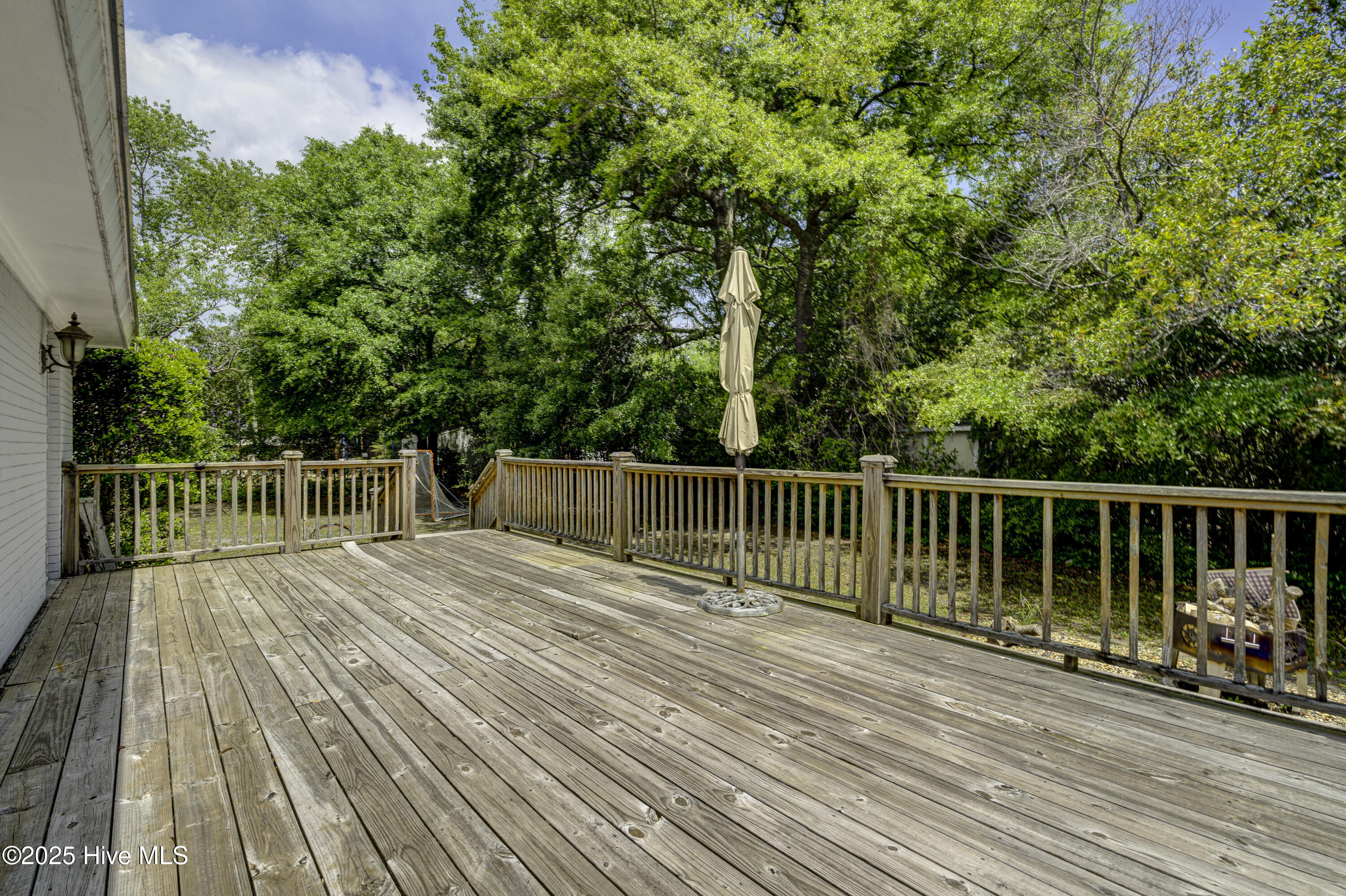 100525965 | Photo 50