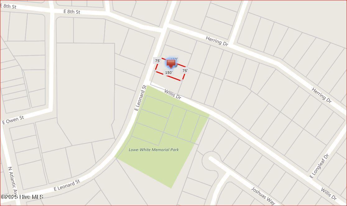 100555819 | Photo 37