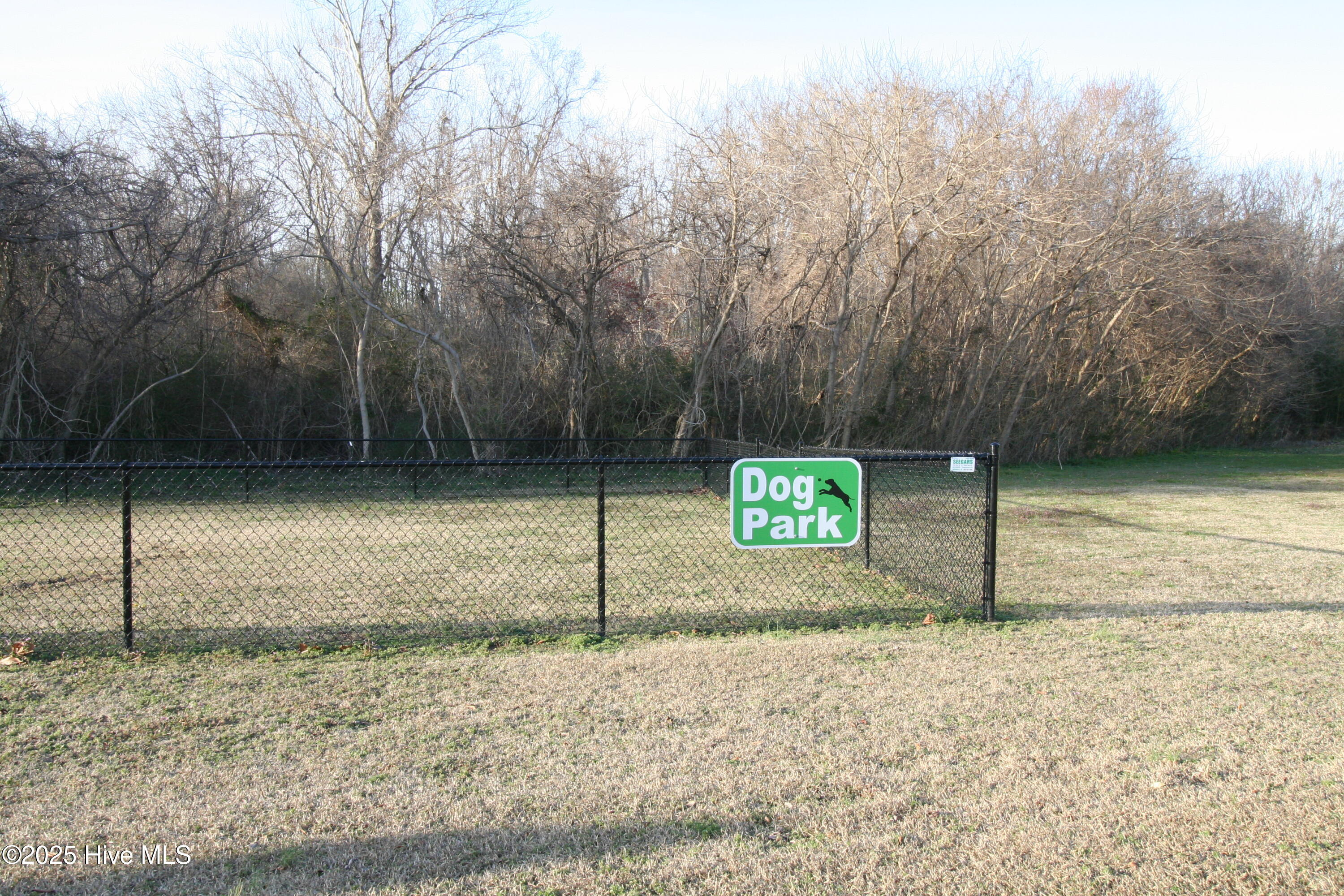 Downtown Dog Park