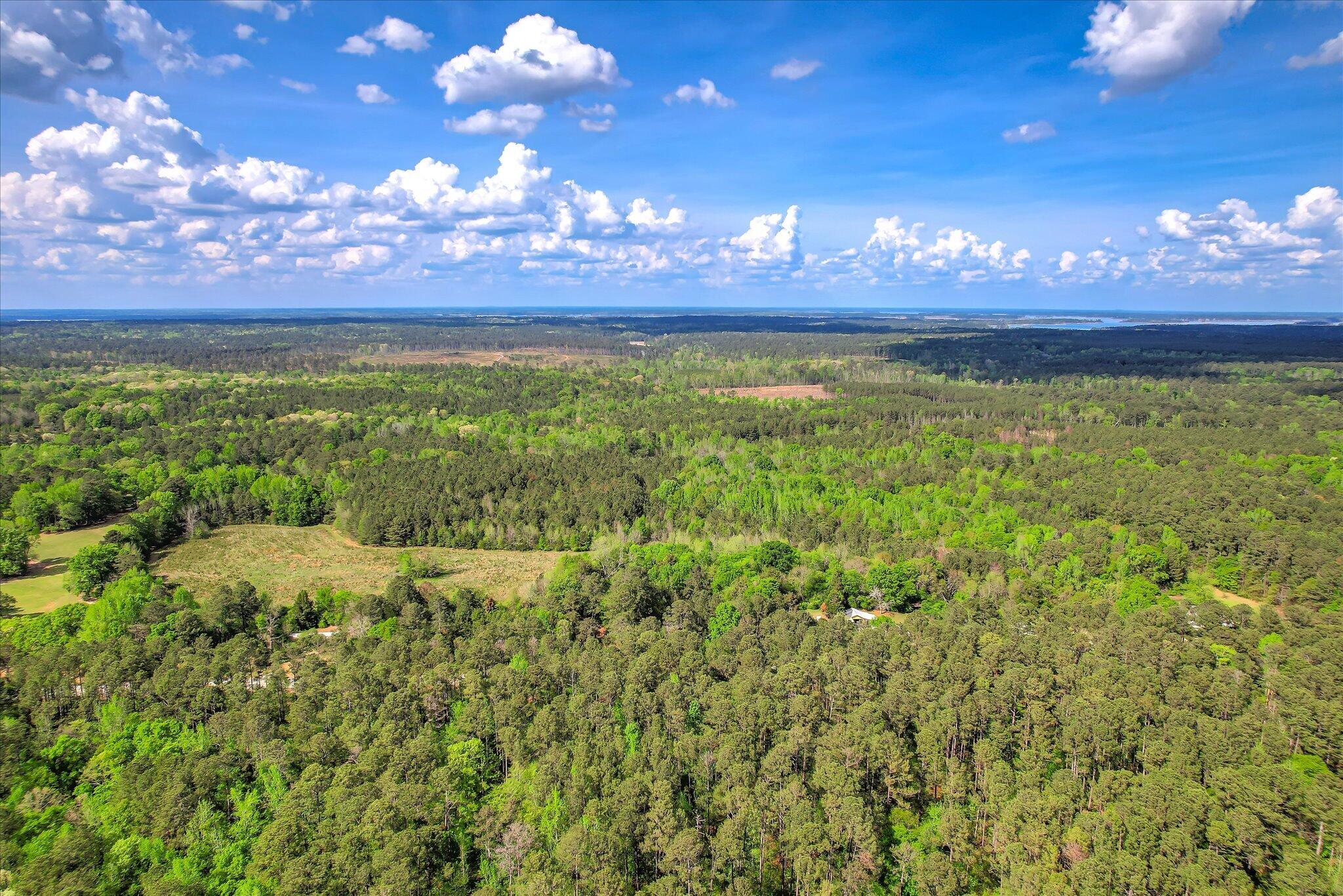 6995 Cobbham Road, Appling, GA, 30802