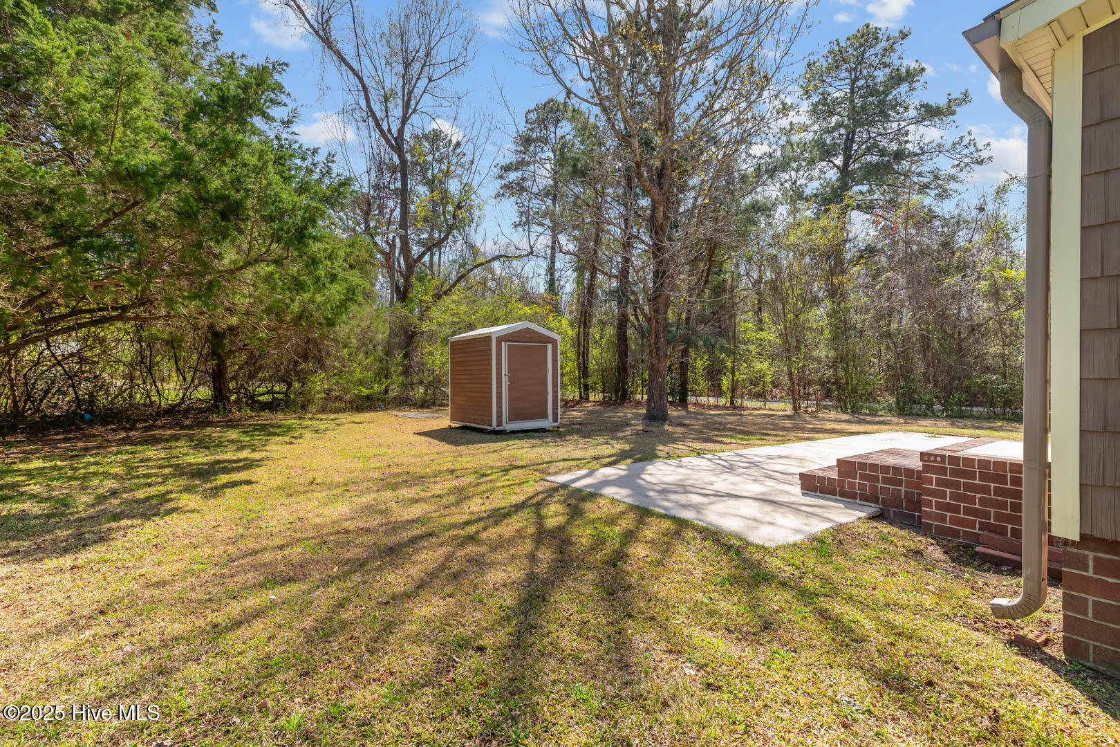 100565795 | Photo 31