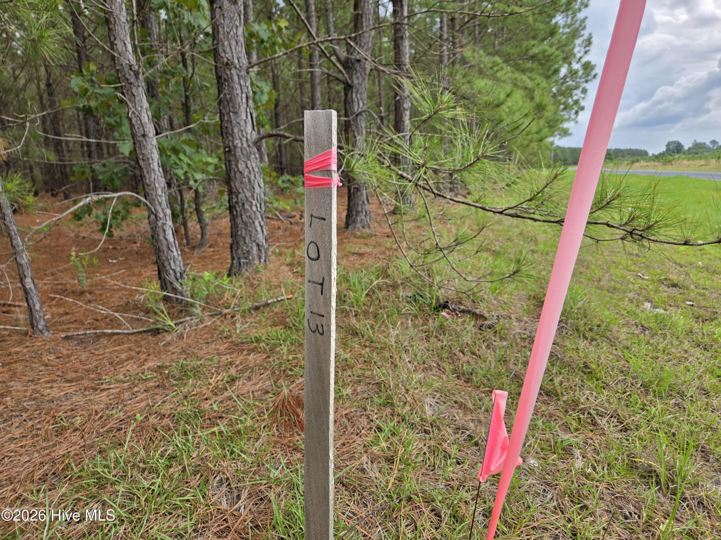 Tract 14 Belford Church Road, Jackson Springs, NC 27281 Listing Photo  10